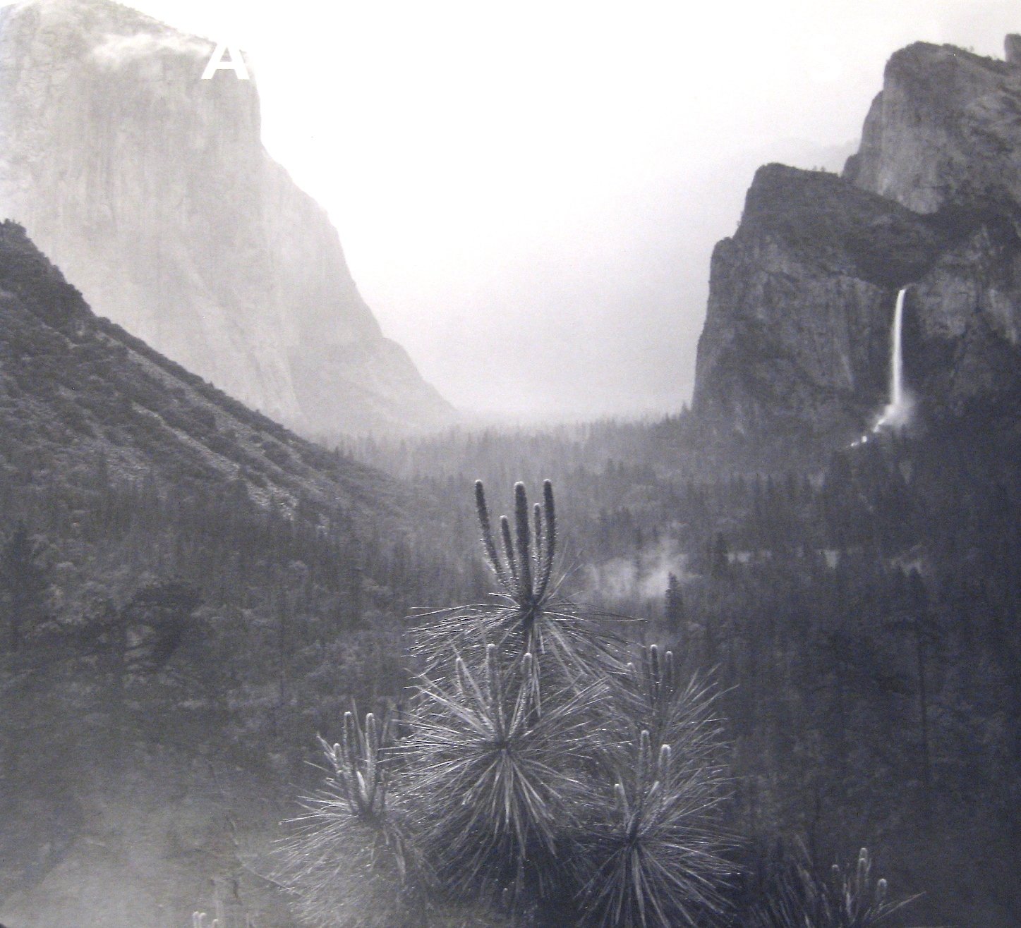Ansel Adams: In The Lane Collection.