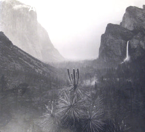 Ansel Adams: In The Lane Collection.