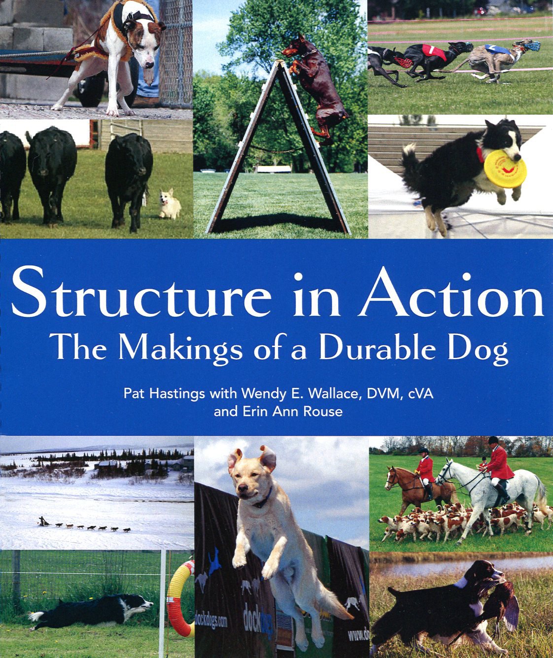 Structure In Action: The Makings Of A Durable Dog,Used