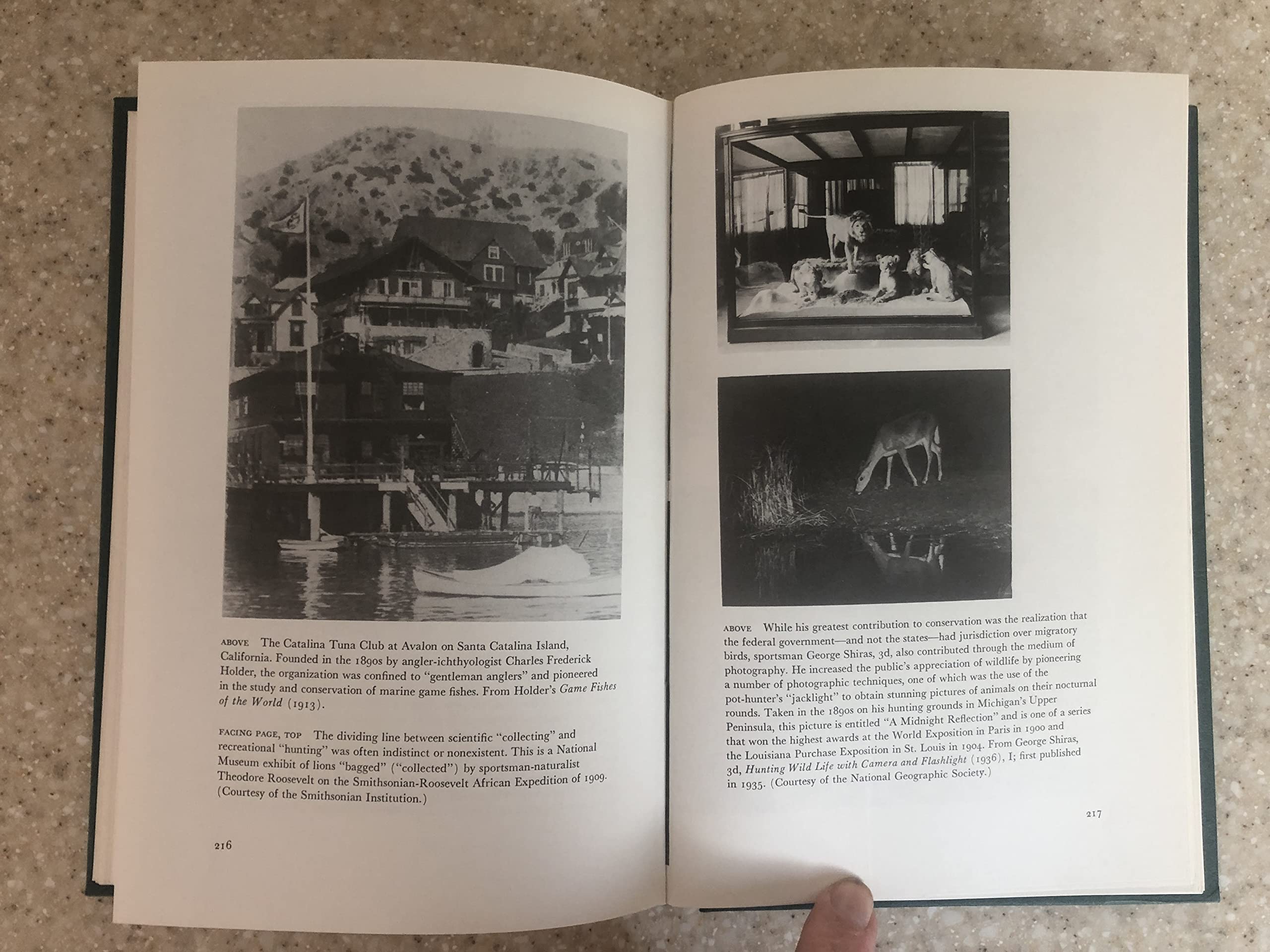 American Sportsmen and the Origins of Conservation,Used