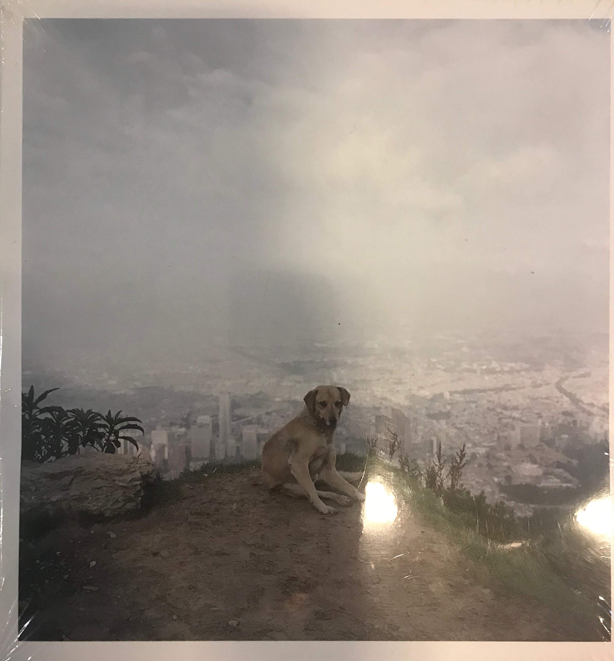Dog Days Bogota,Used