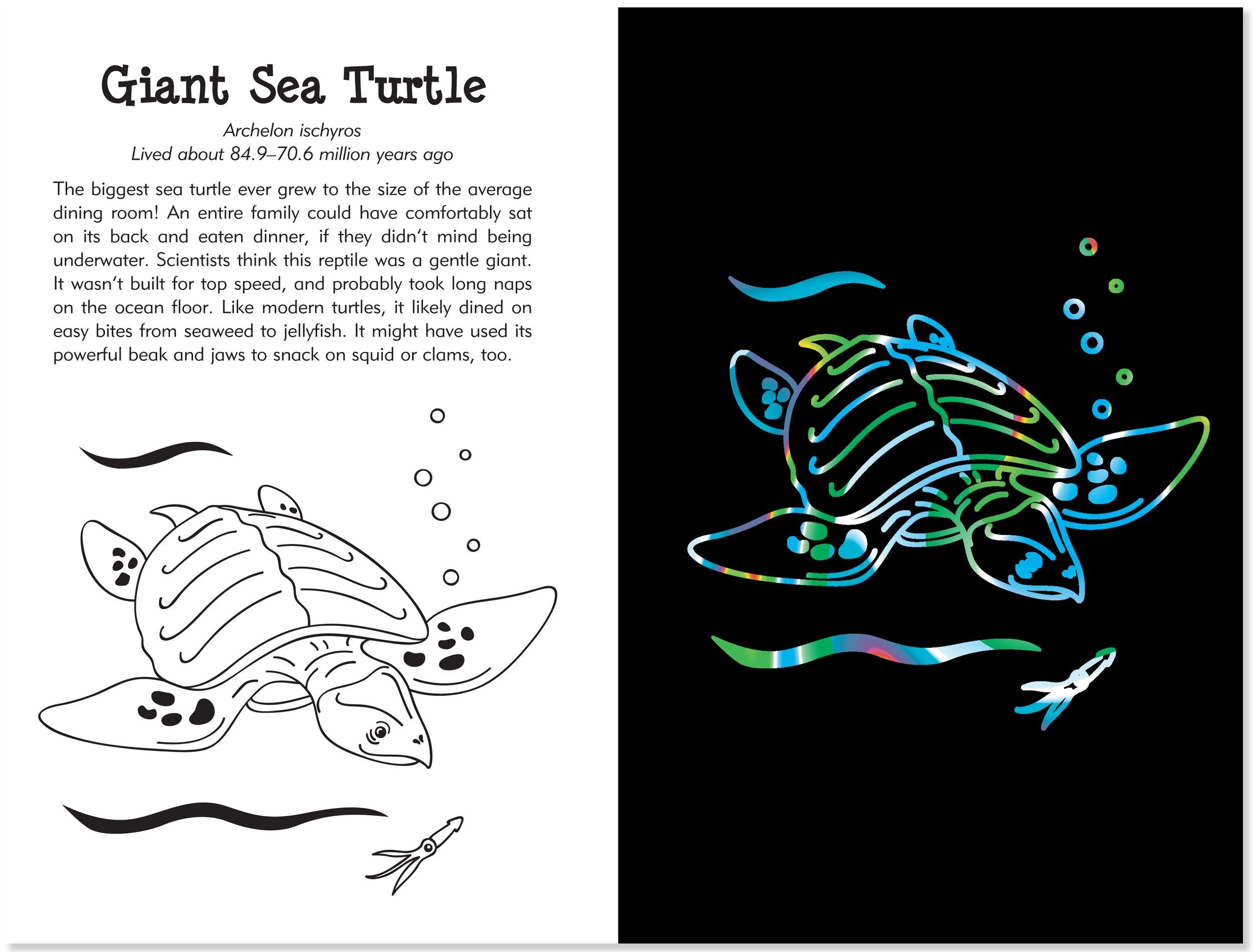 Prehistoric Animals Scratch & Sketch,Used