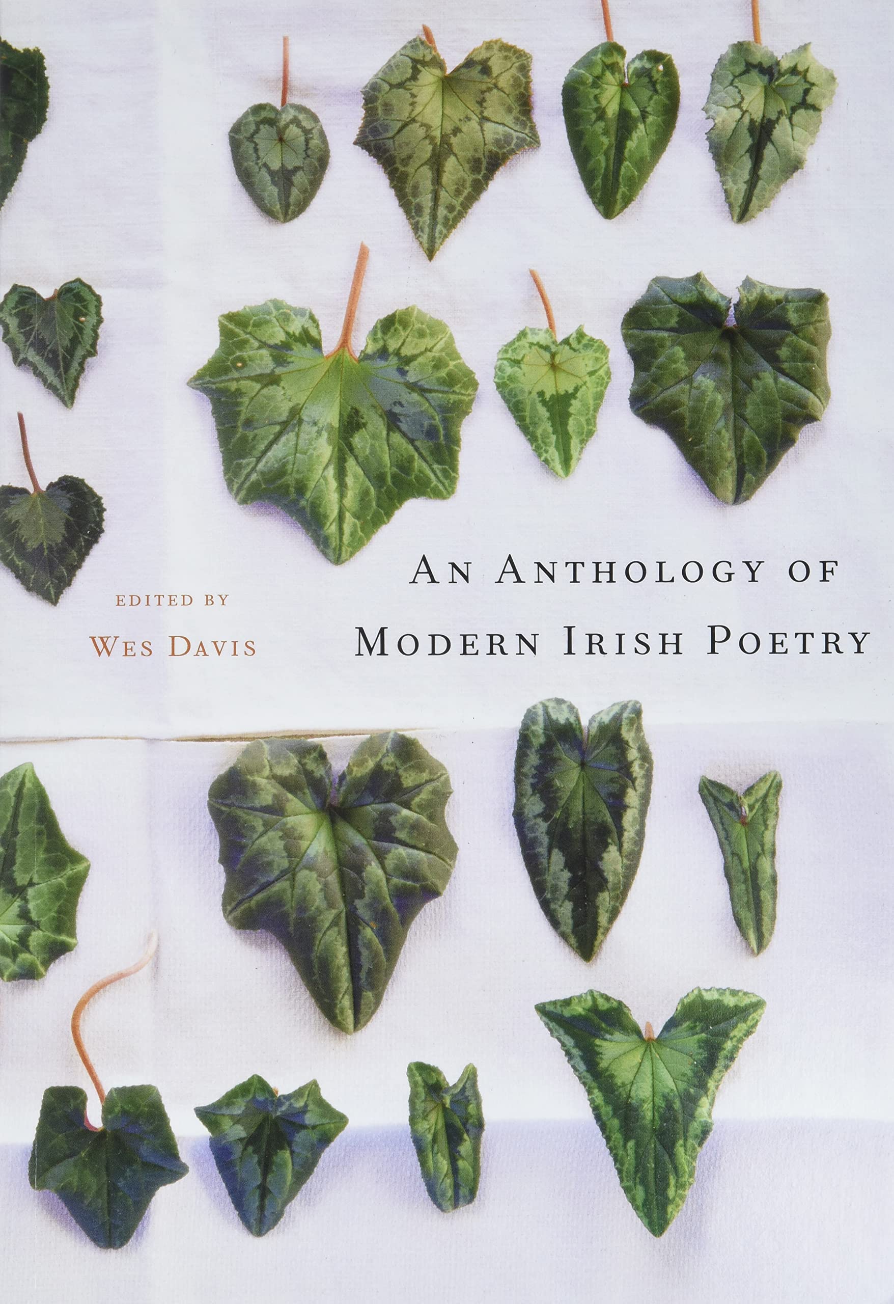 An Anthology of Modern Irish Poetry,Used