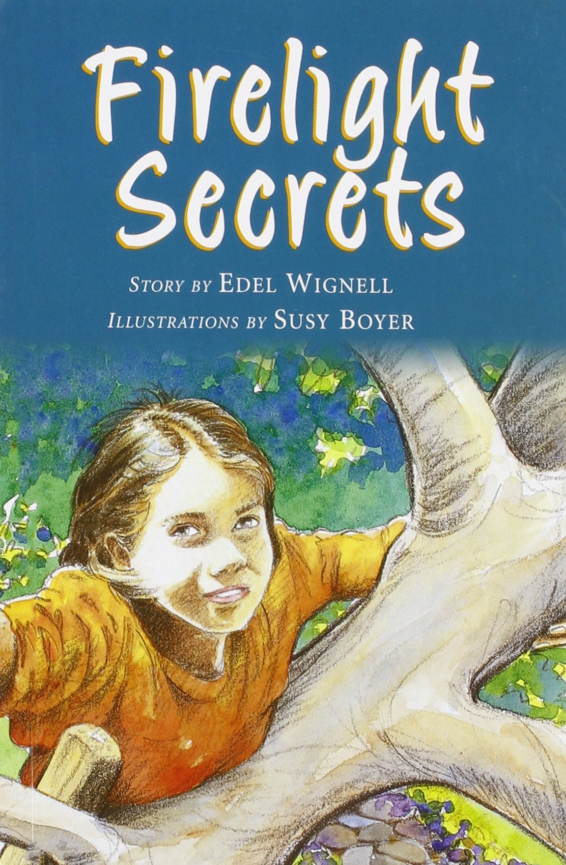 Firelight Secret: Individual Student Edition Ruby (Levels 2728) (Rigby PM Collection),Used