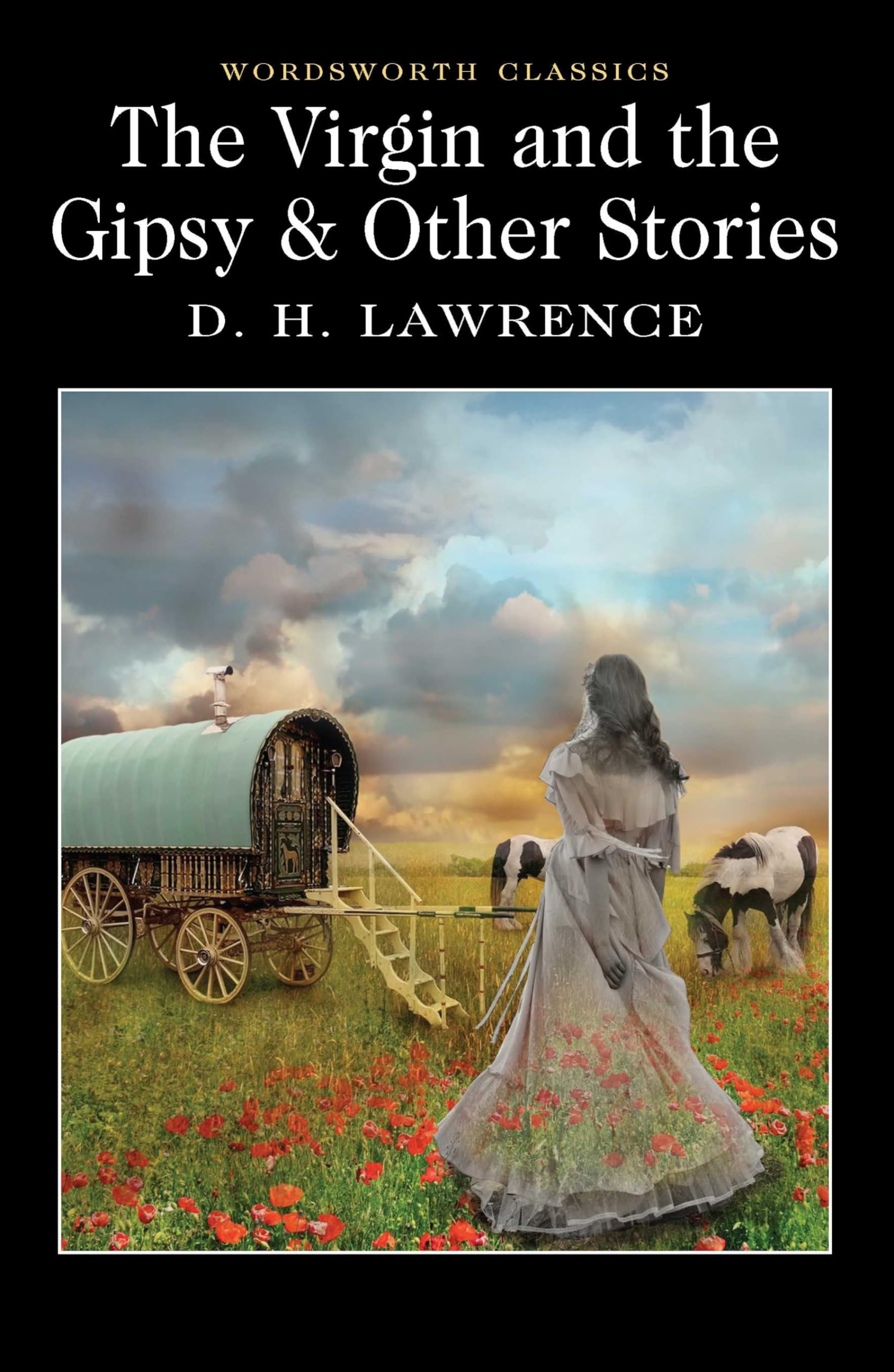 The Virgin and the Gypsy (Wordsworth Classics),Used