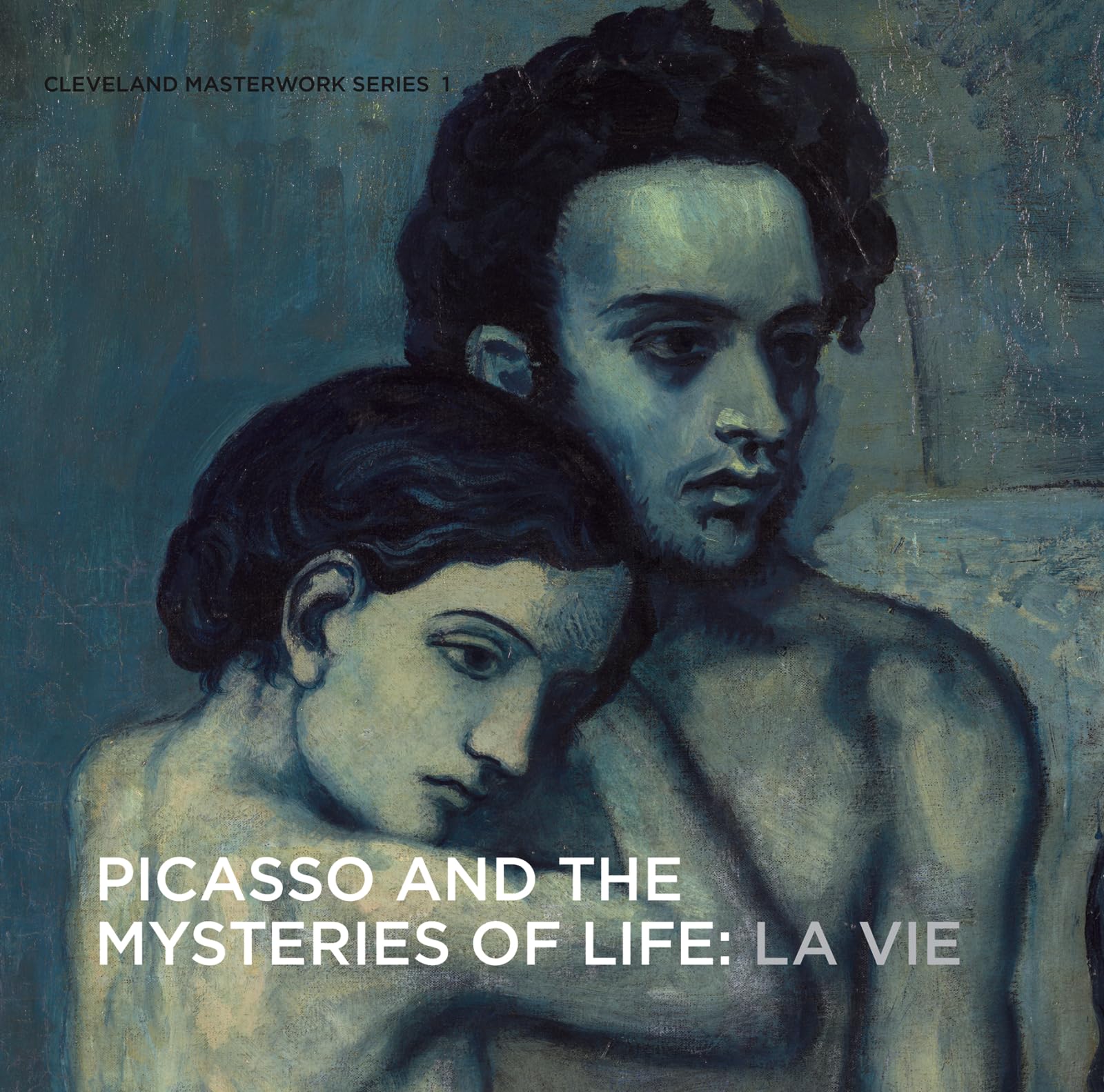 Picasso and the Mysteries of Life: La Vie (Cleveland Masterwork Series, 1),Used