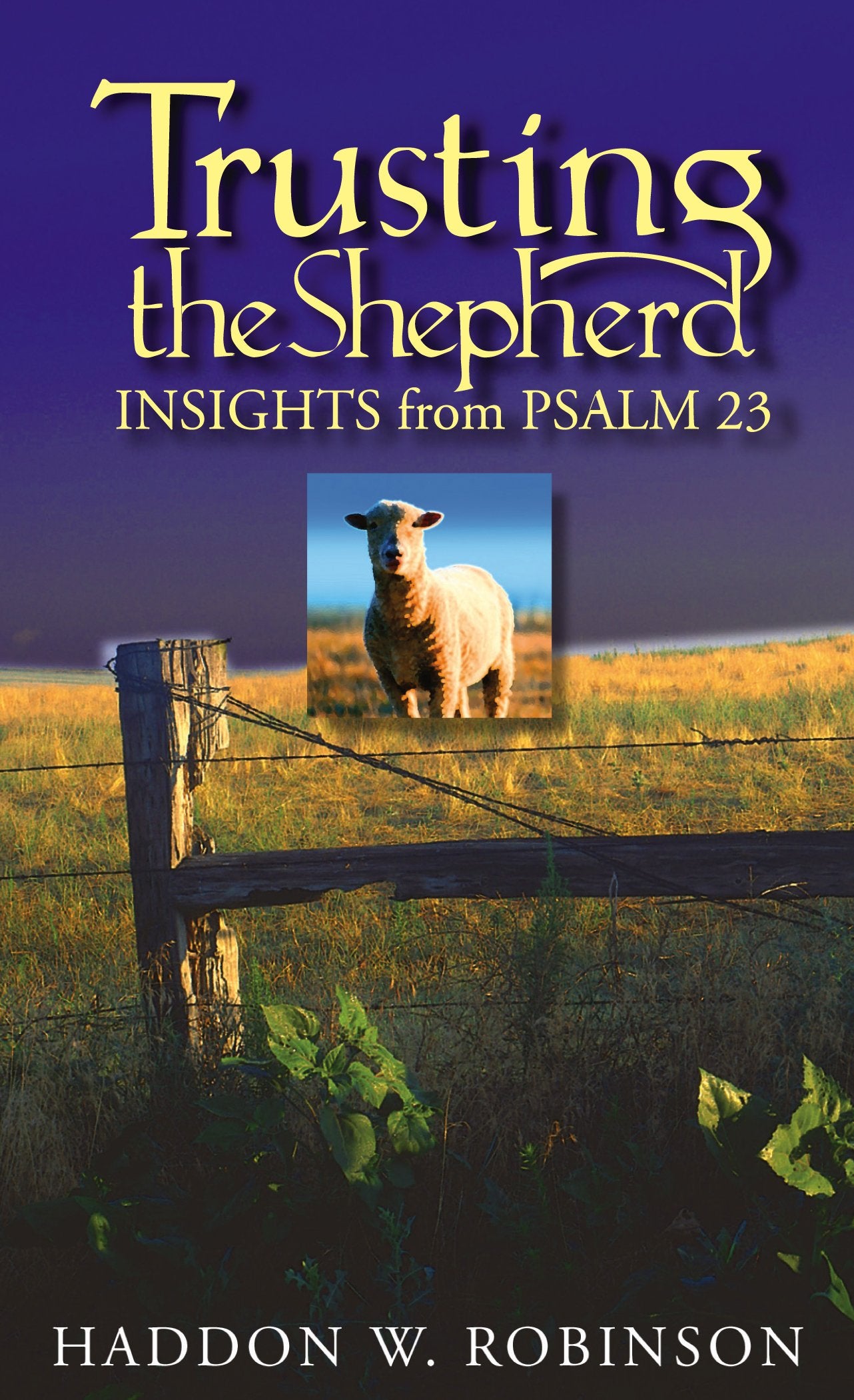 Trusting the Shepherd: Insights from Psalm 23,Used