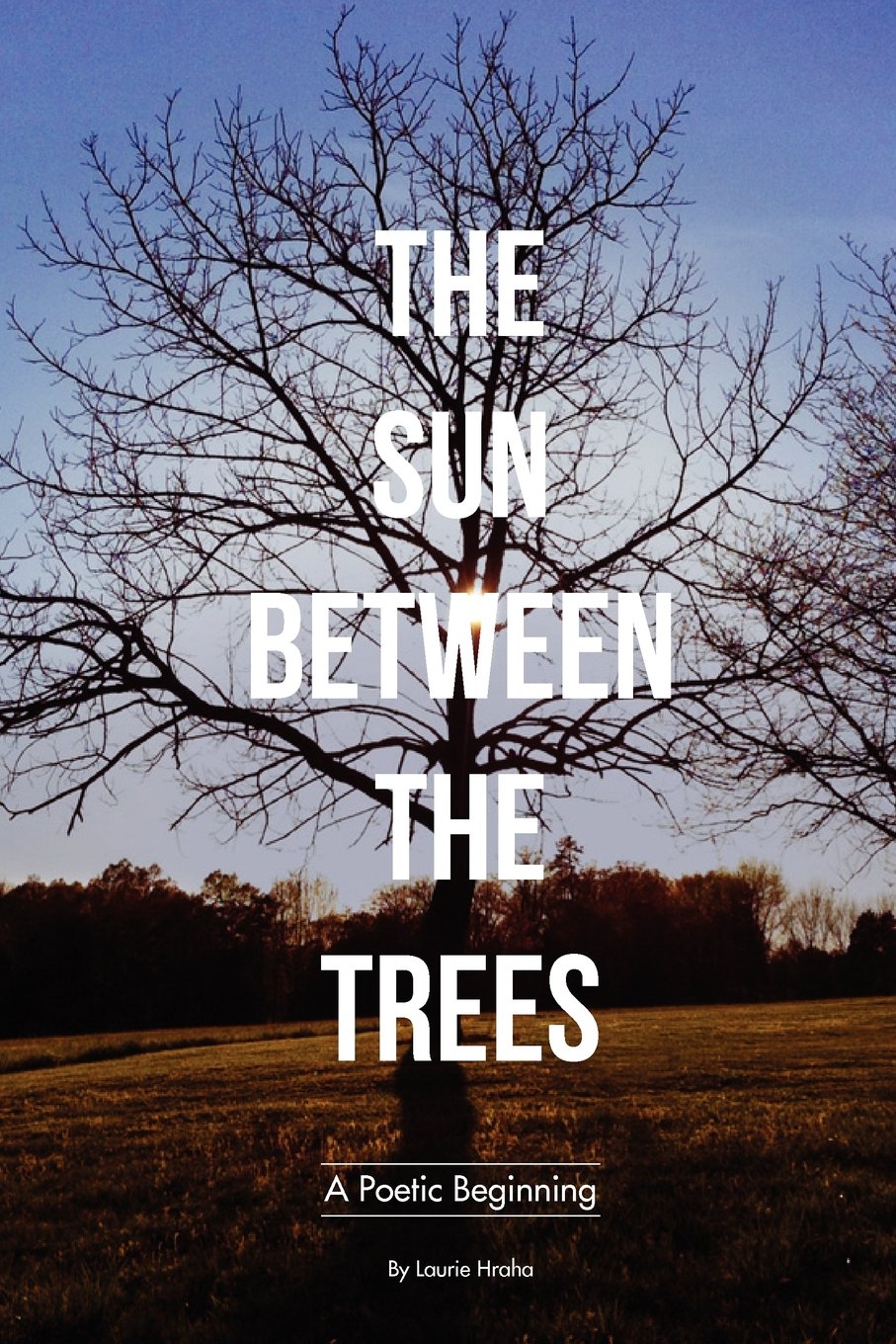 The Sun Between the Trees,Used