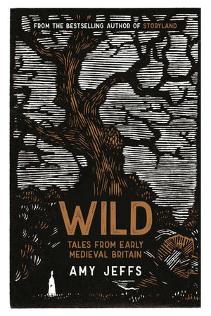 Wild: Tales From Early Medieval Britain,New