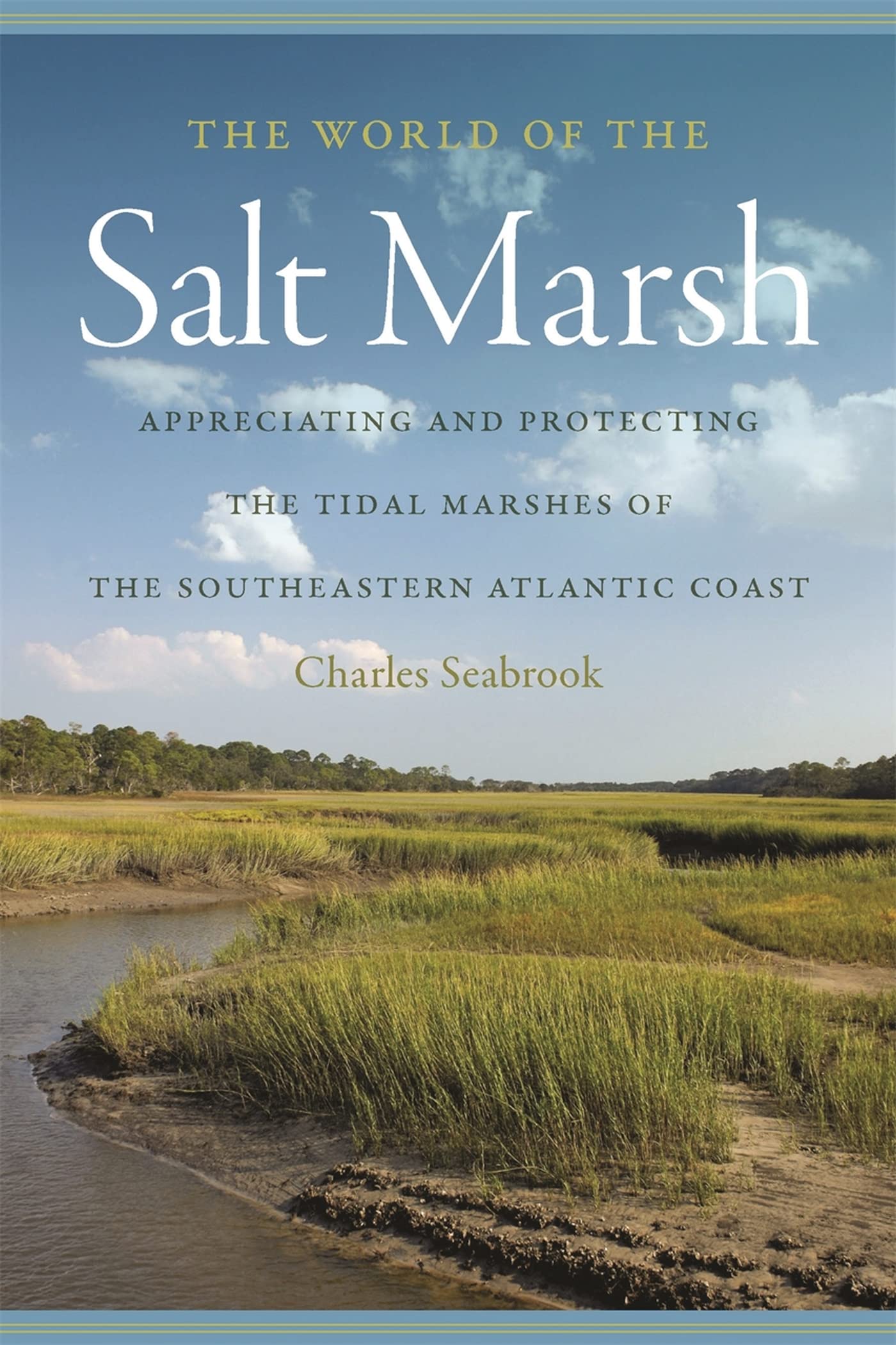 The World Of The Salt Marsh: Appreciating And Protecting The Tidal Marshes Of The Southeastern Atlantic Coast (Wormsloe Foundati,Used