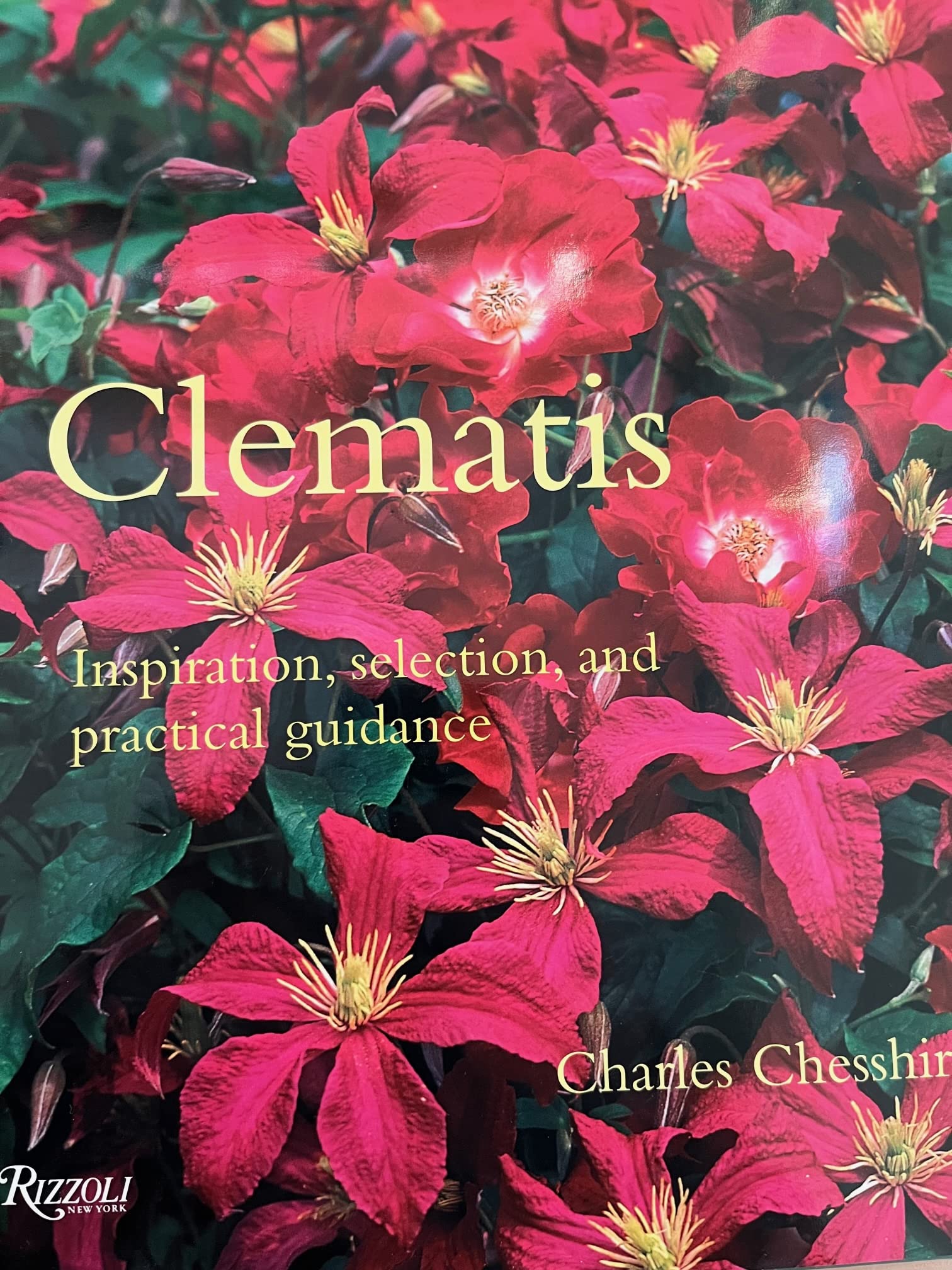 Clematis: Inspiration, Selection, and Practical Guidance,Used