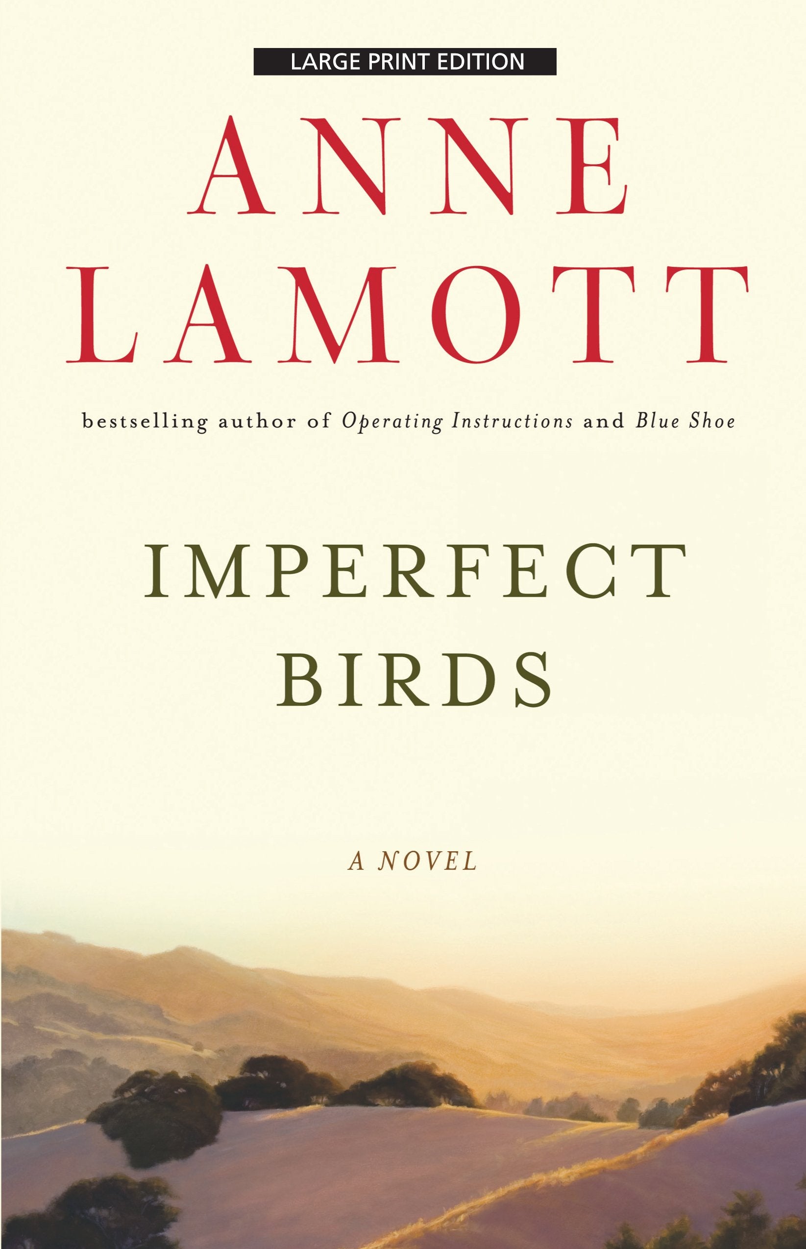 Imperfect Birds,Used