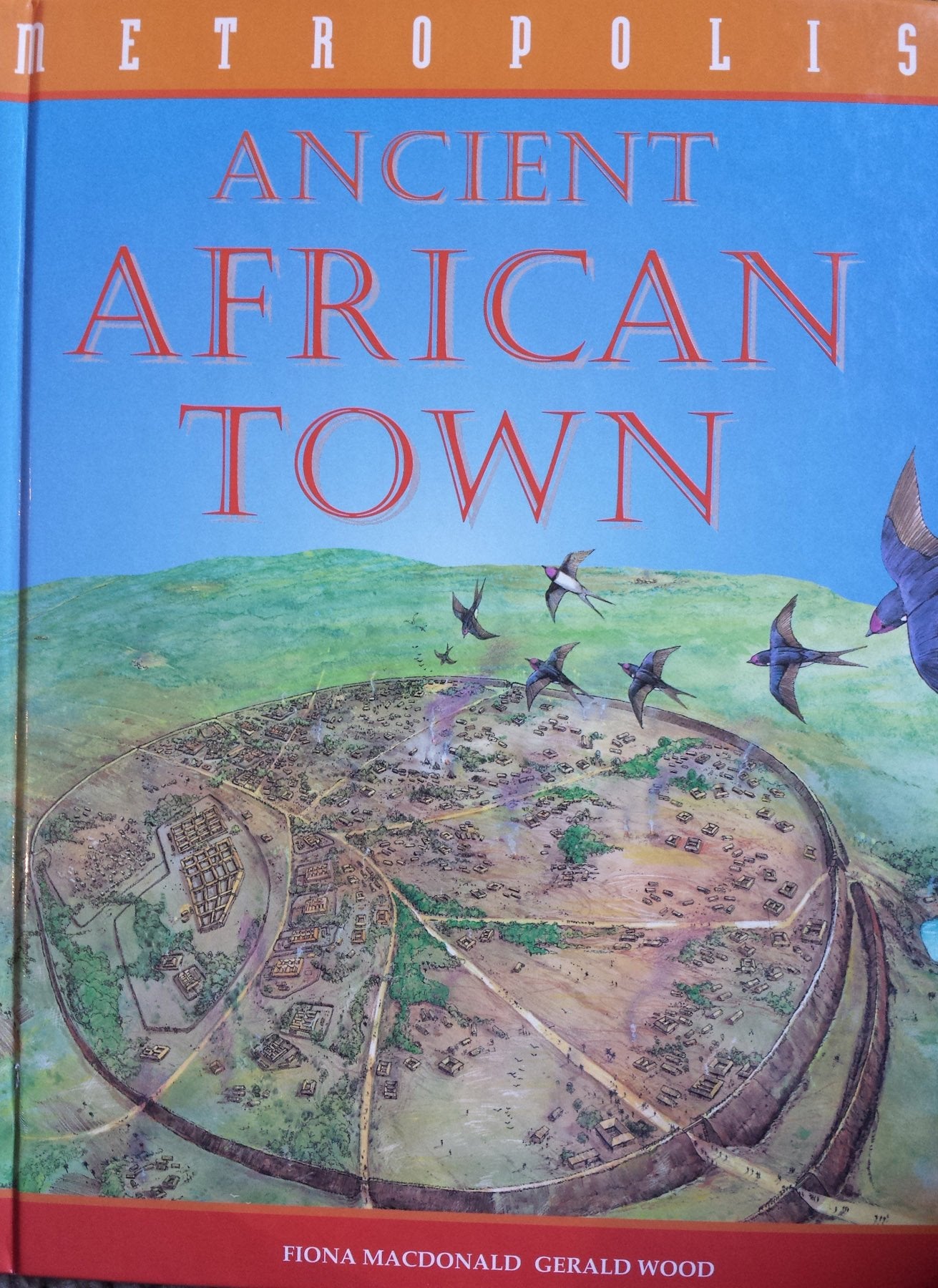 Ancient African Town (Metropolis),Used