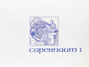Excavations at Capernaum: Volume 1: 19781982,Used