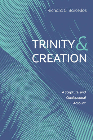 Trinity and Creation: A Scriptural and Confessional Account,Used