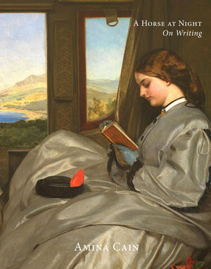 A Horse At Night: On Writing,New