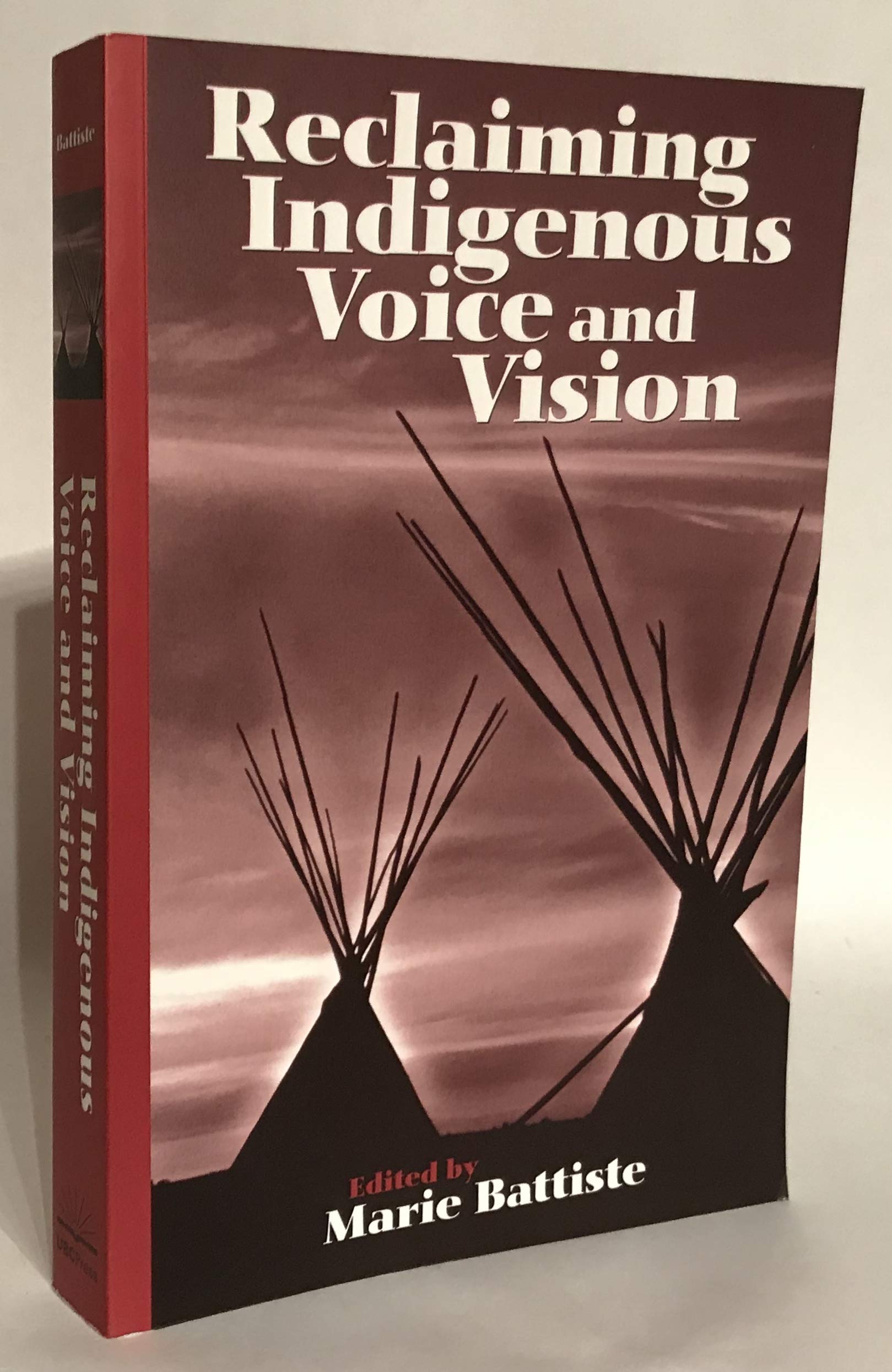 Reclaiming Indigenous Voice and Vision,Used