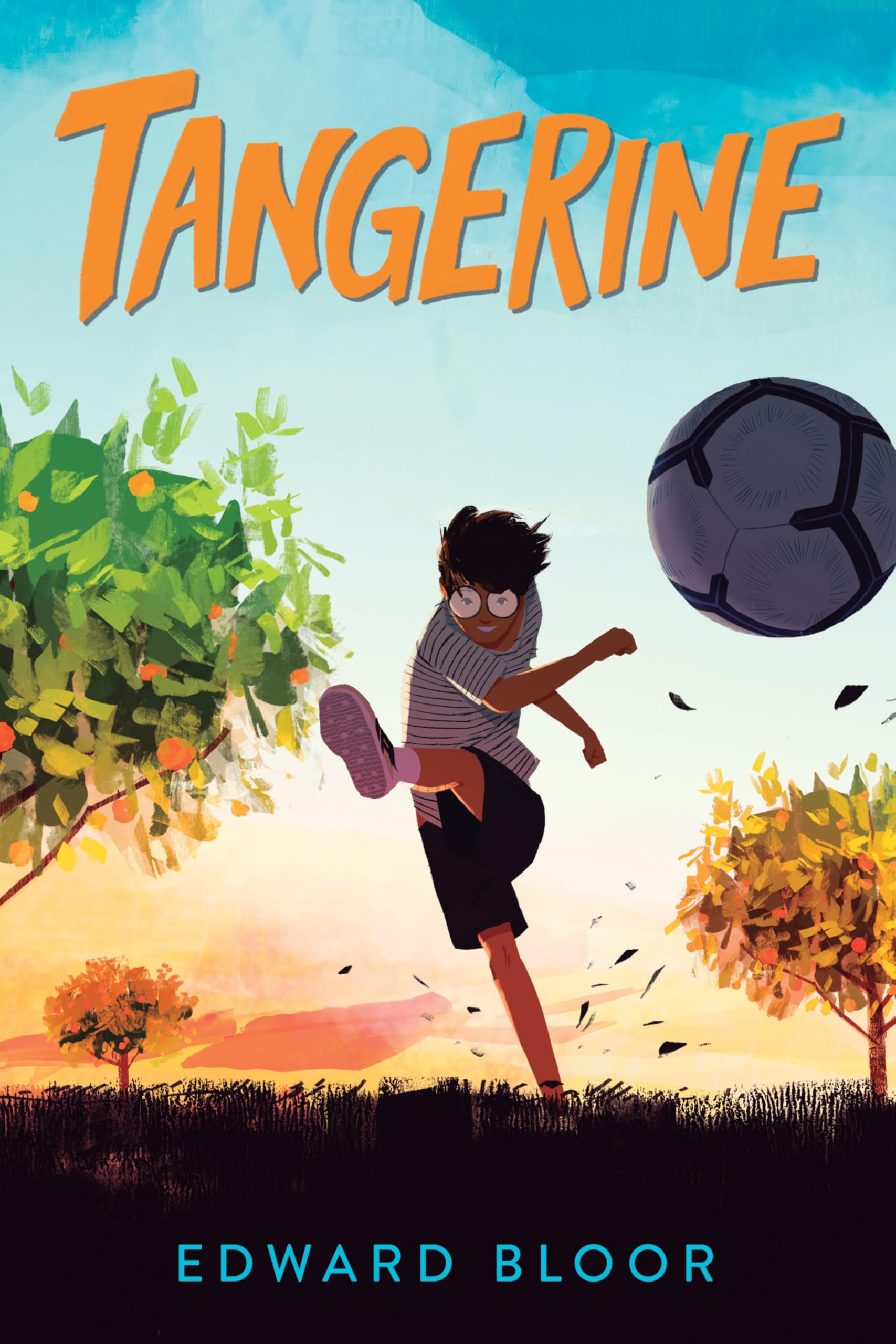 Tangerine,Used