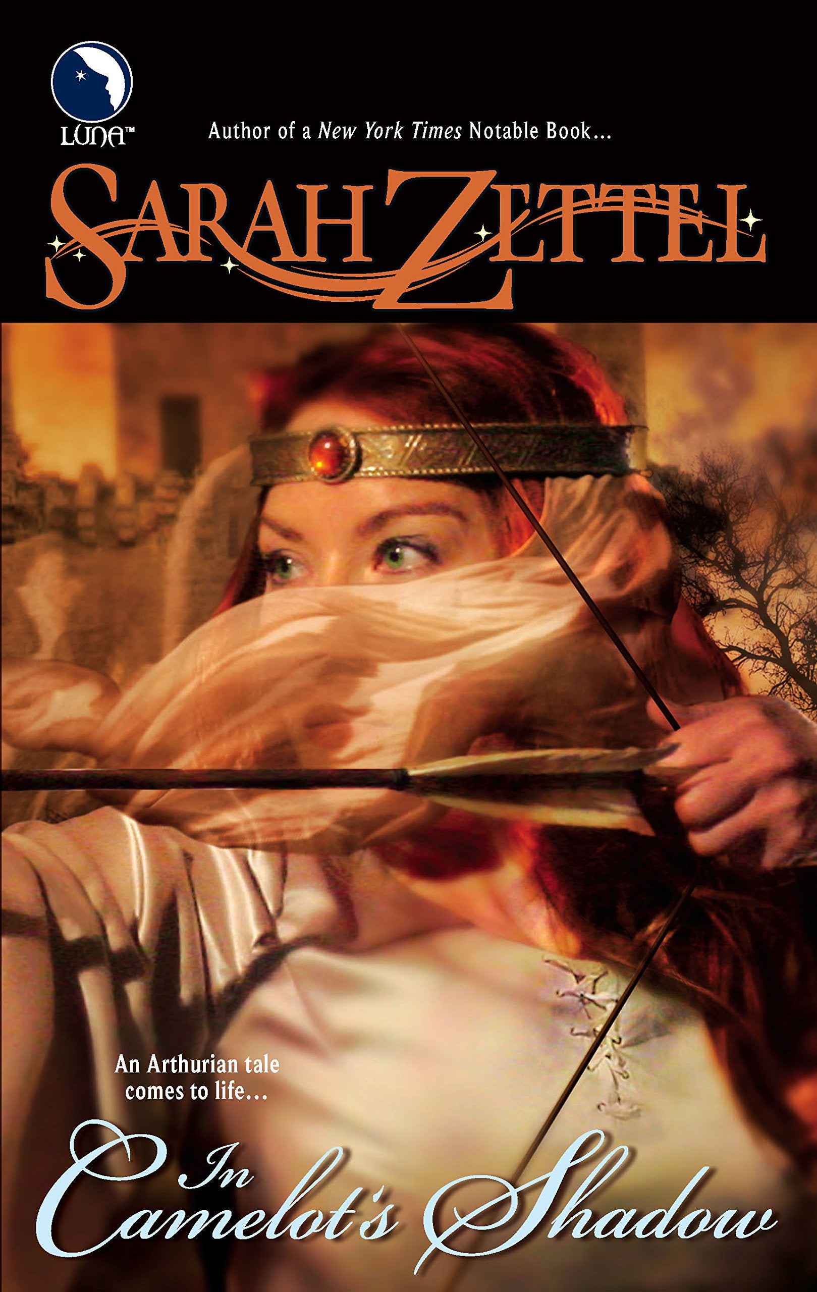 In Camelot's Shadow (The Path to Camelot),Used