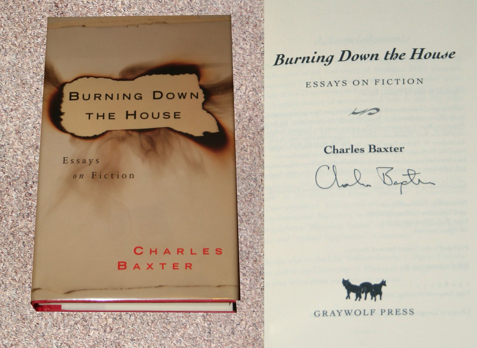 Burning Down The House: Essays On Fiction,New