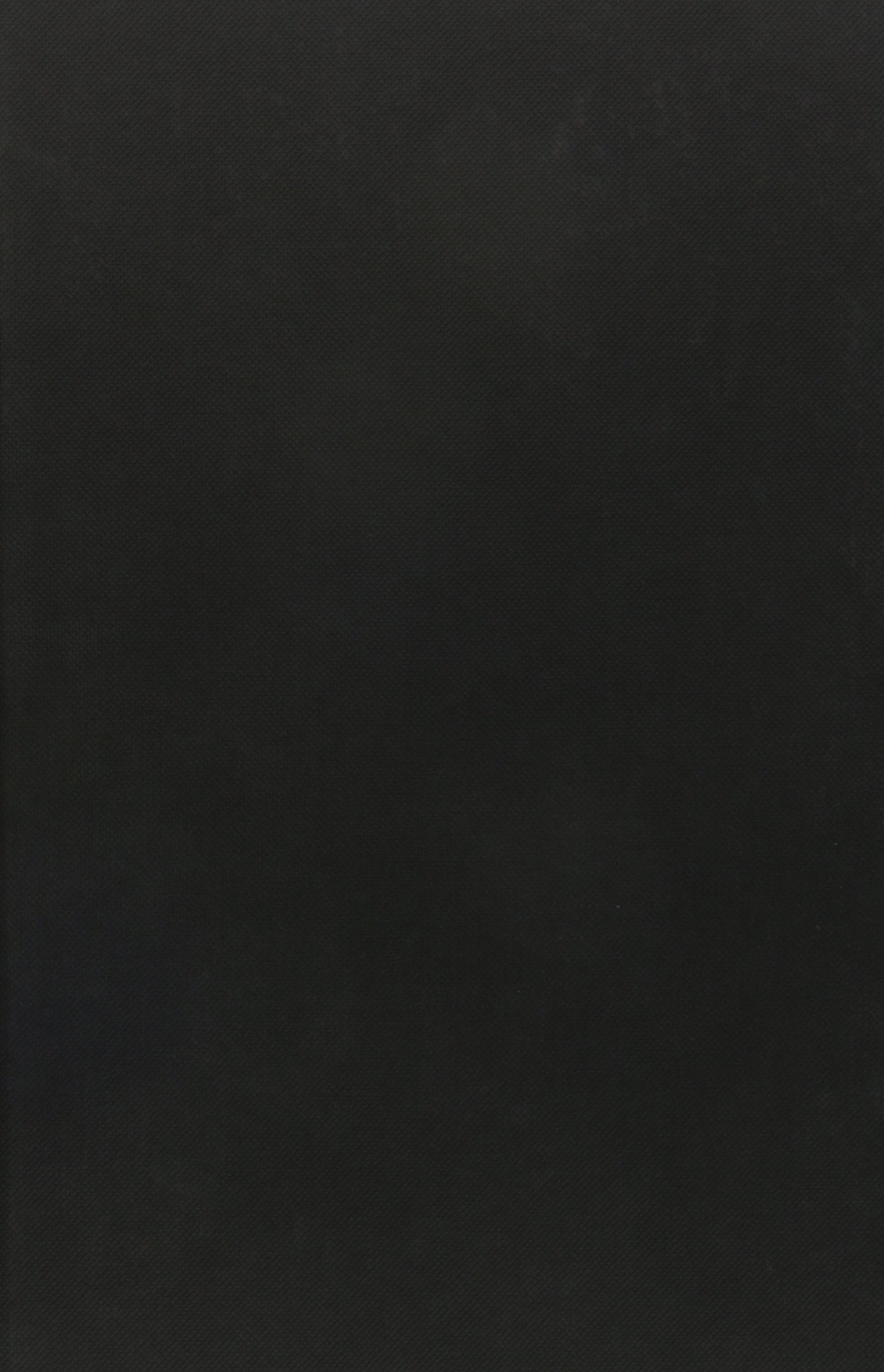 Japanese Horror Cinema,New