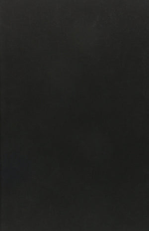 Japanese Horror Cinema,New