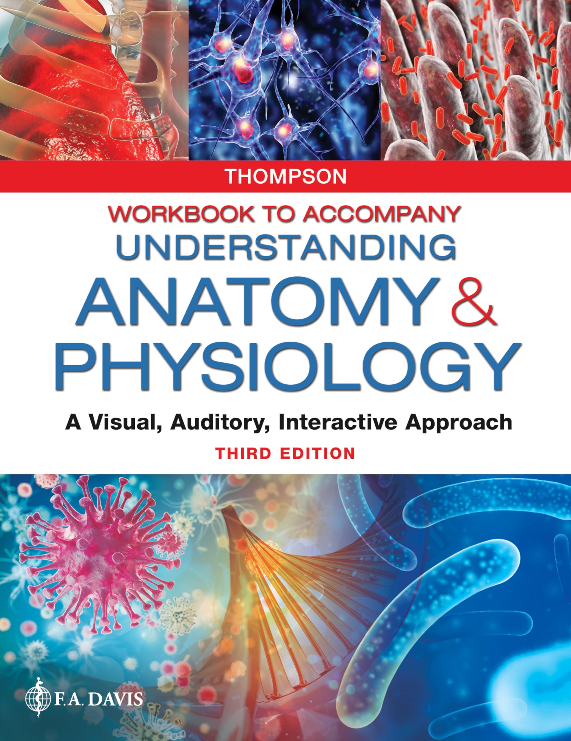 Workbook To Accompany Understanding Anatomy & Physiology: A Visual, Auditory, Interactive Approach