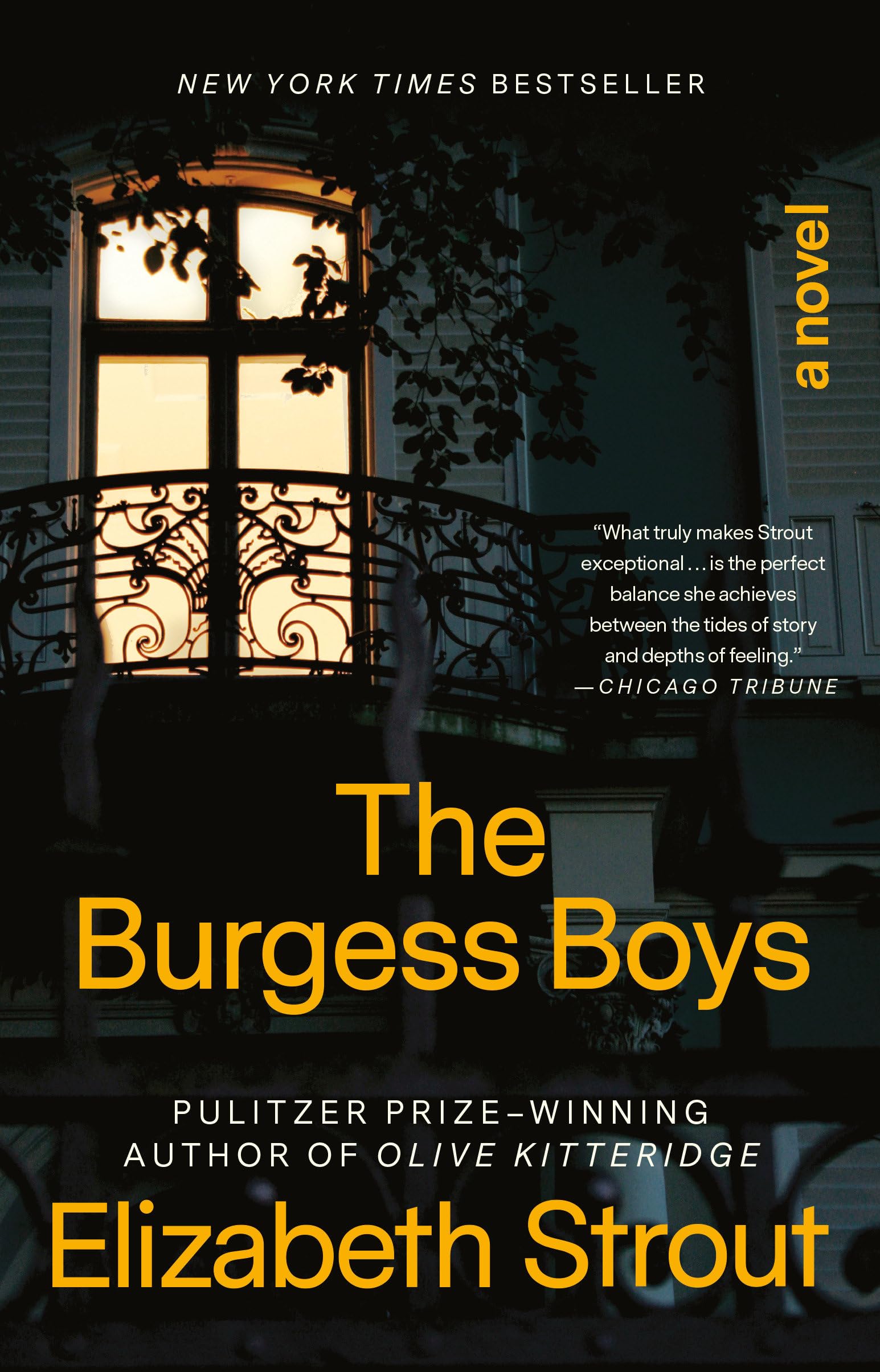 The Burgess Boys: A Novel,Used