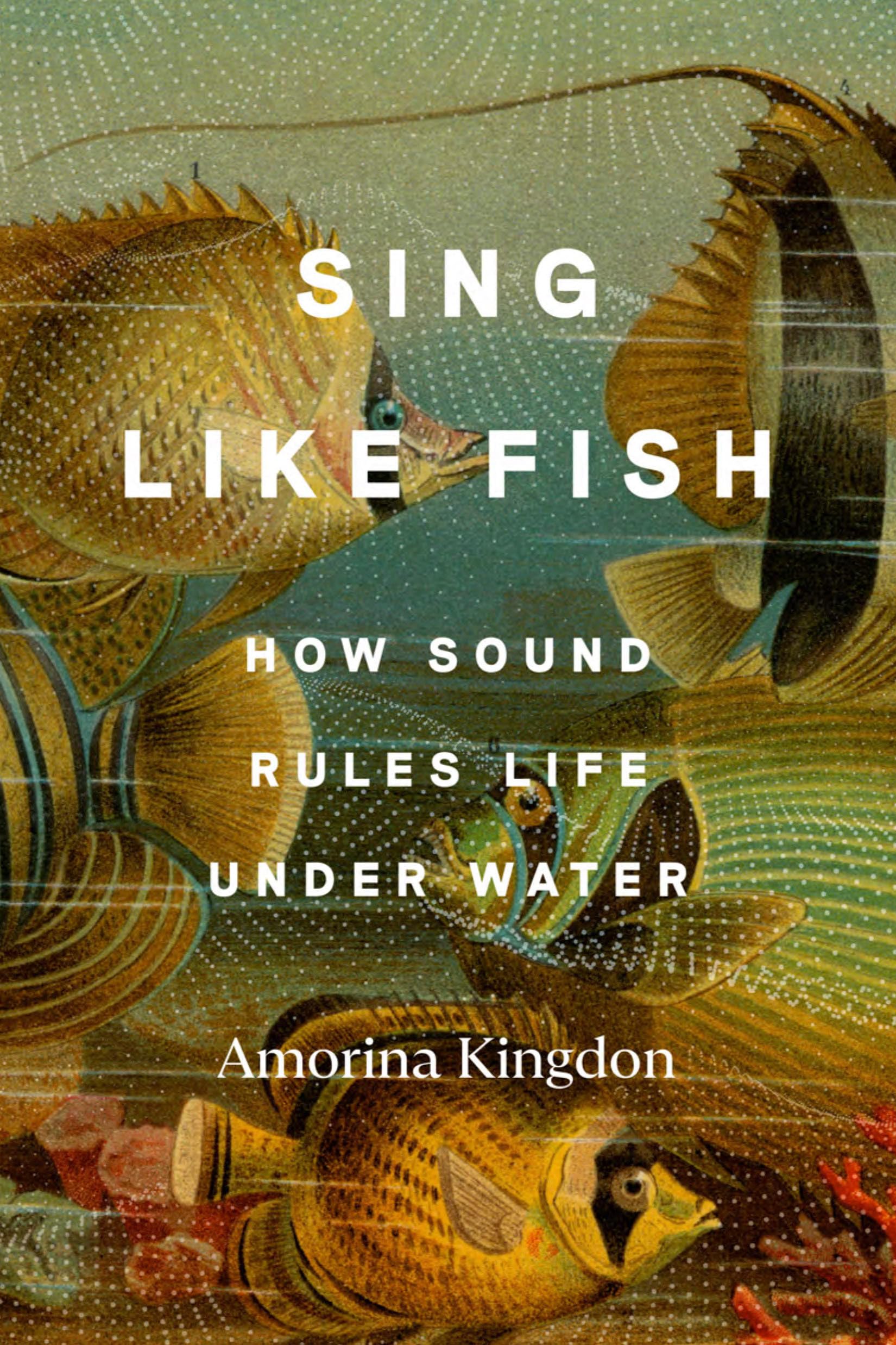 Sing Like Fish: How Sound Rules Life Under Water,Used