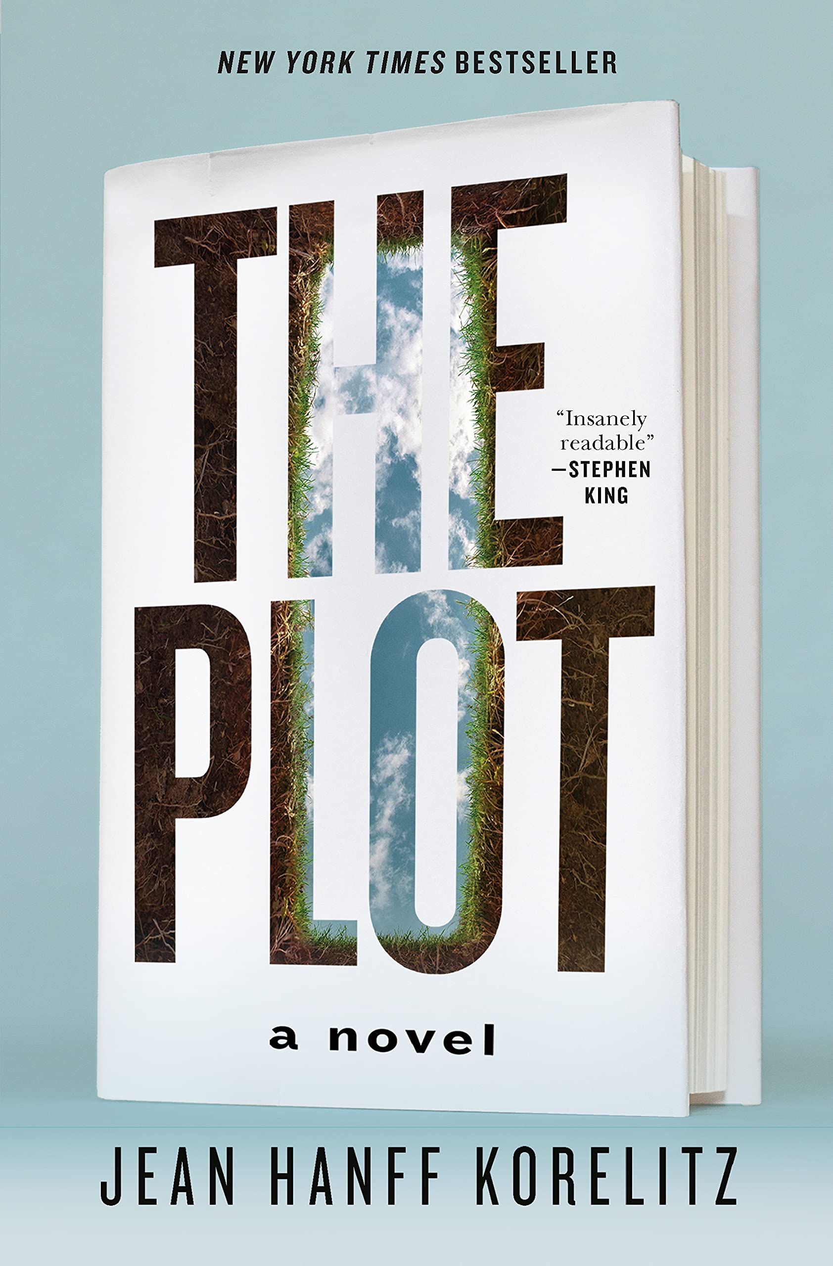 The Plot: A Novel (The Book Series, 1),Used