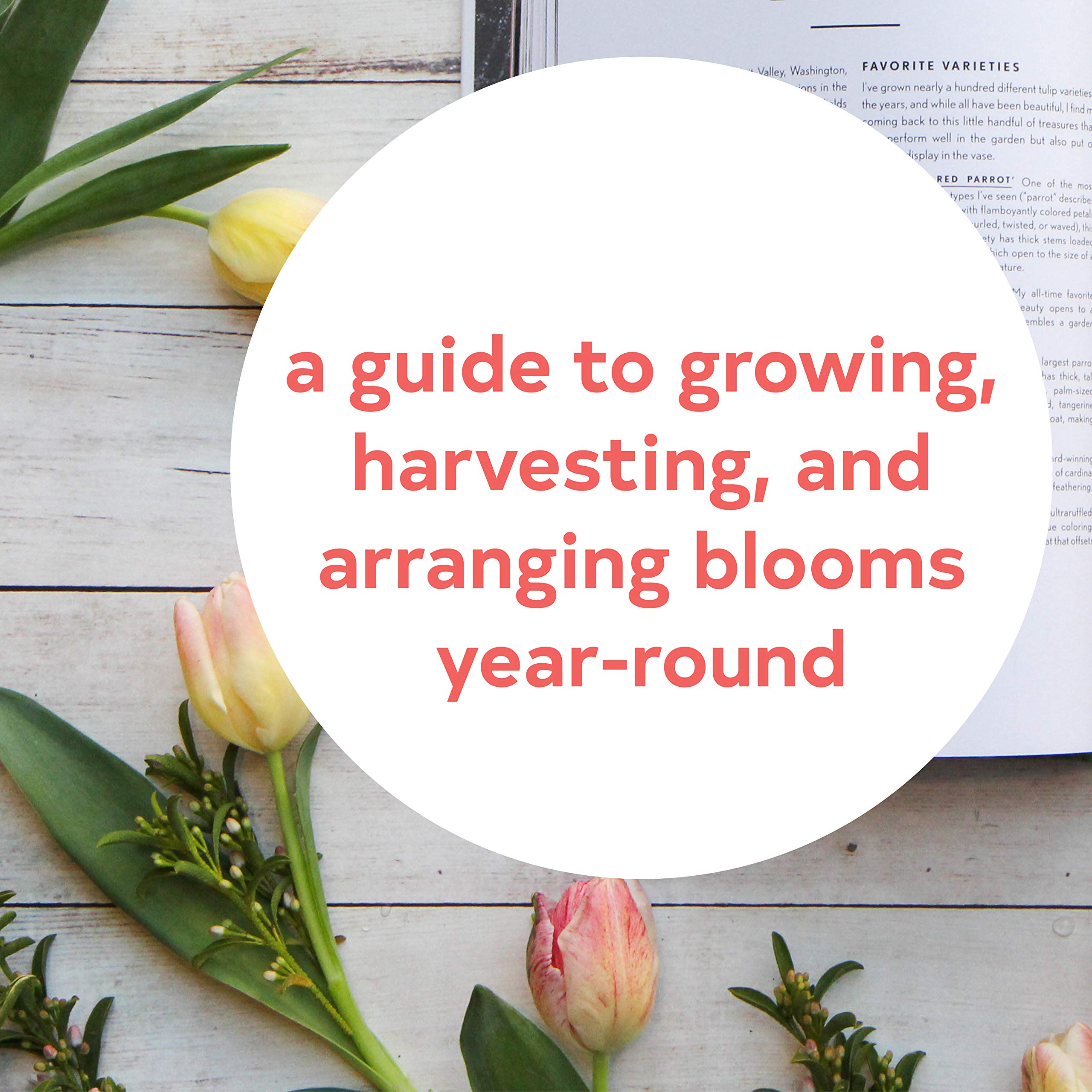 Floret Farm's Cut Flower Garden: Grow, Harvest, and Arrange Stunning Seasonal Blooms (Floret Farms x Chronicle Books),Used