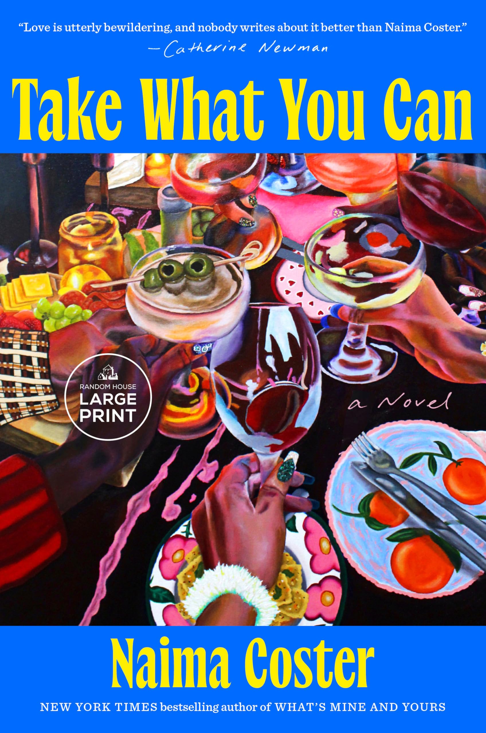 Take What You Can: A Novel
