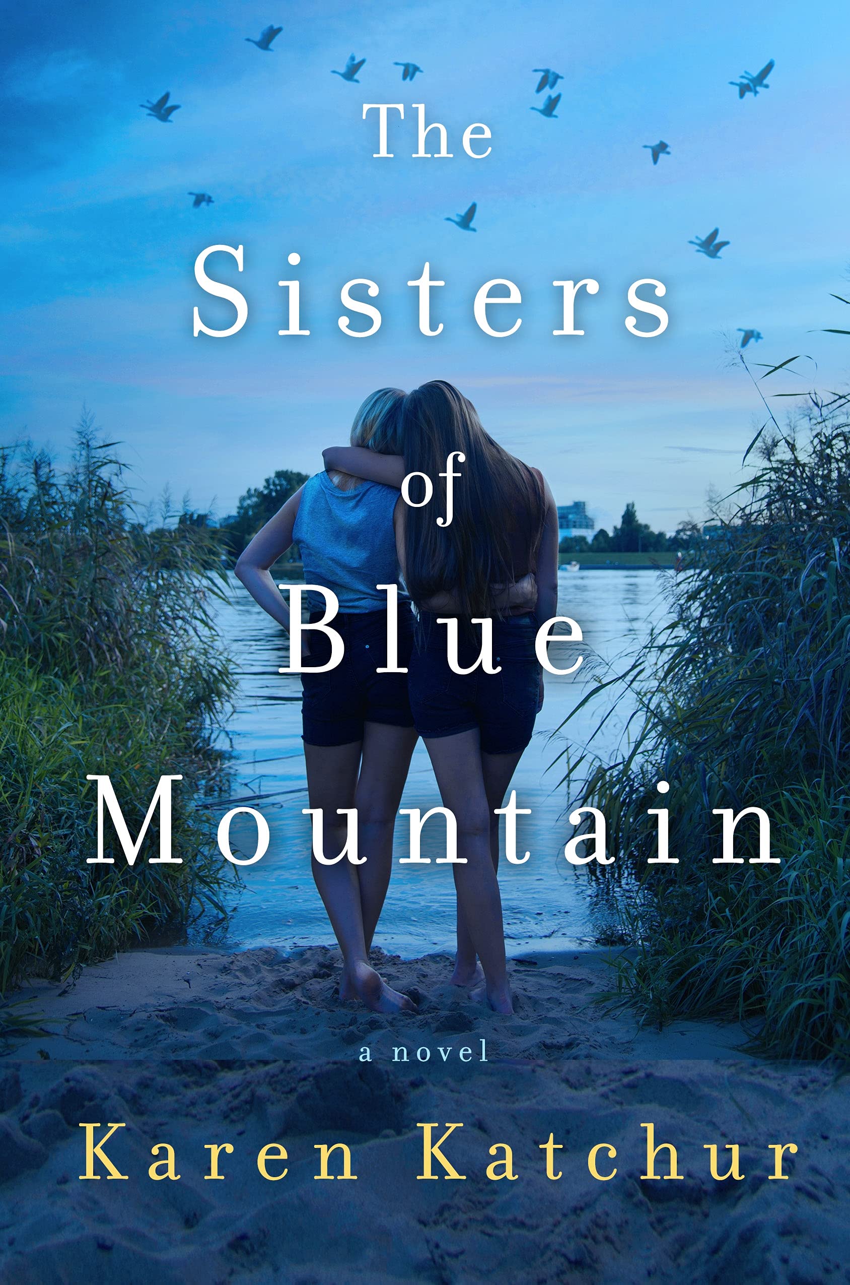 The Sisters of Blue Mountain: A Novel,Used