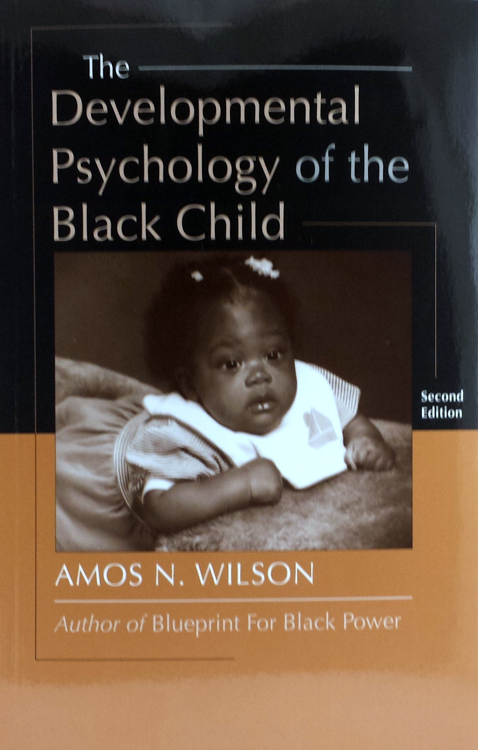 Developmental Psychology Of The Black Child,Used