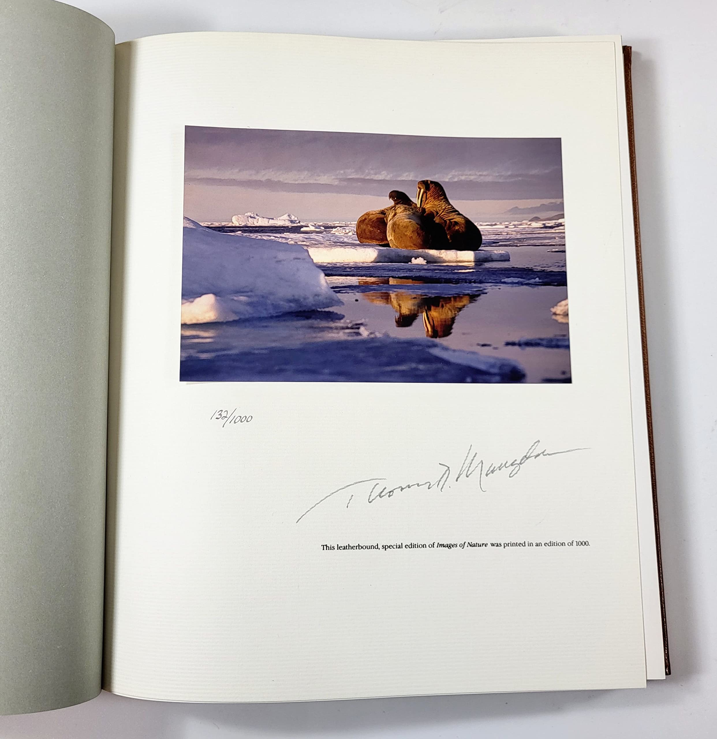 Images of Nature: The Photographs of Thomas D. Mangelsen,Used