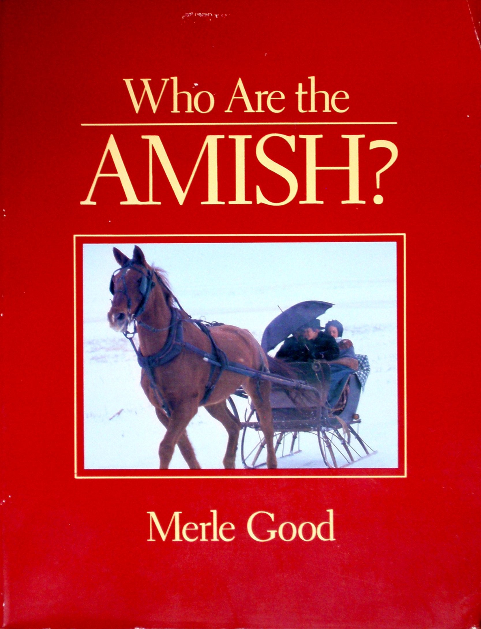 Who are the Amish?,Used