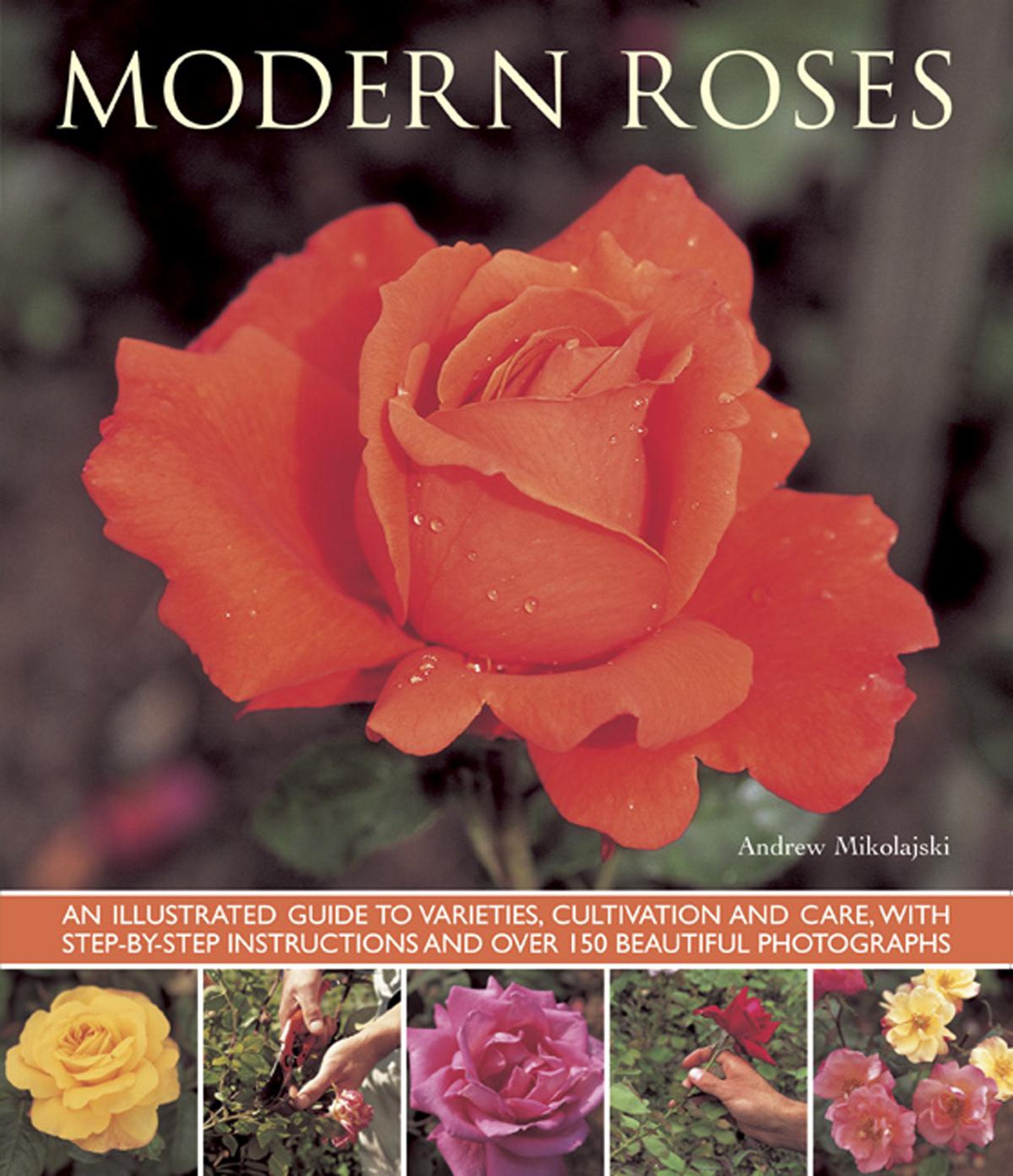 Modern Roses: An Illustrated Guide to Varieties, Cultivation and Care, with StepbyStep Instructions and Over 150 Beautiful Pho,Used