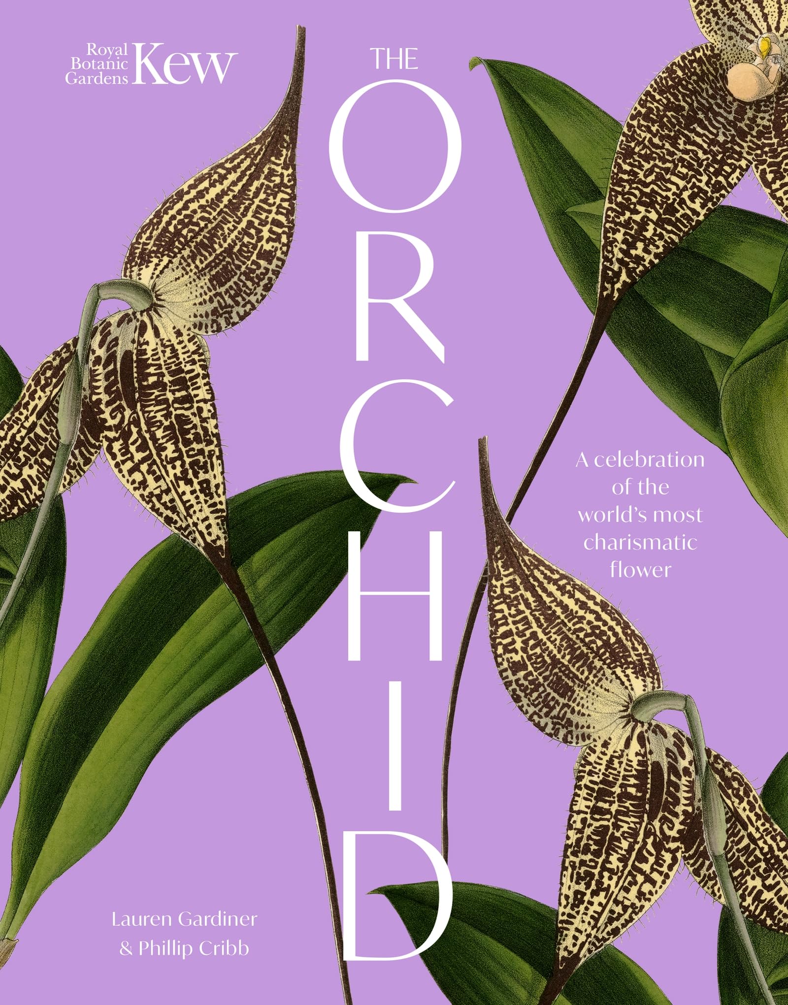 The Orchid: A Celebration Of The WorldS Most Charismatic Flower (Royal Botanic Gardens, Kew)