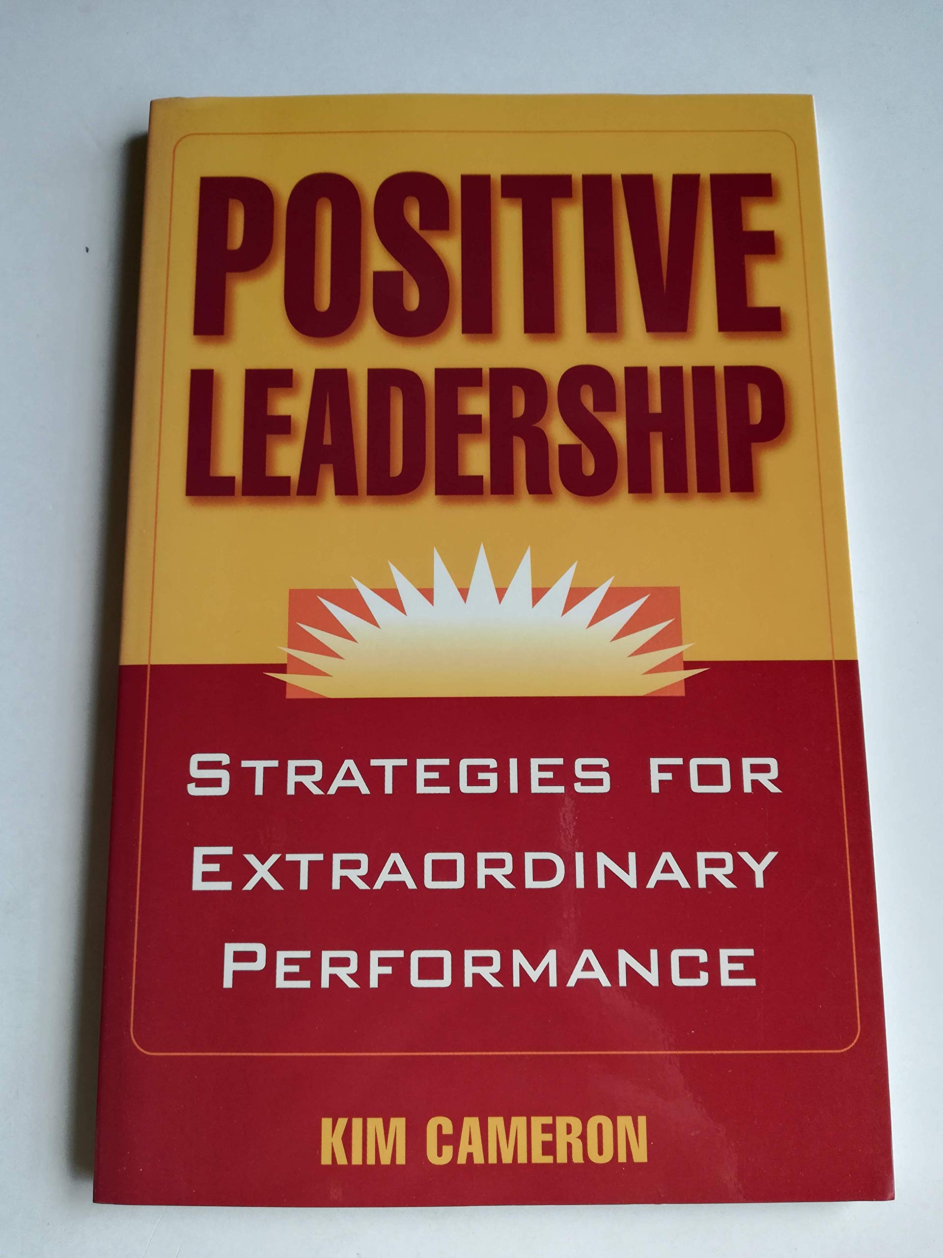 Positive Leadership: Strategies for Extraordinary Performance,New