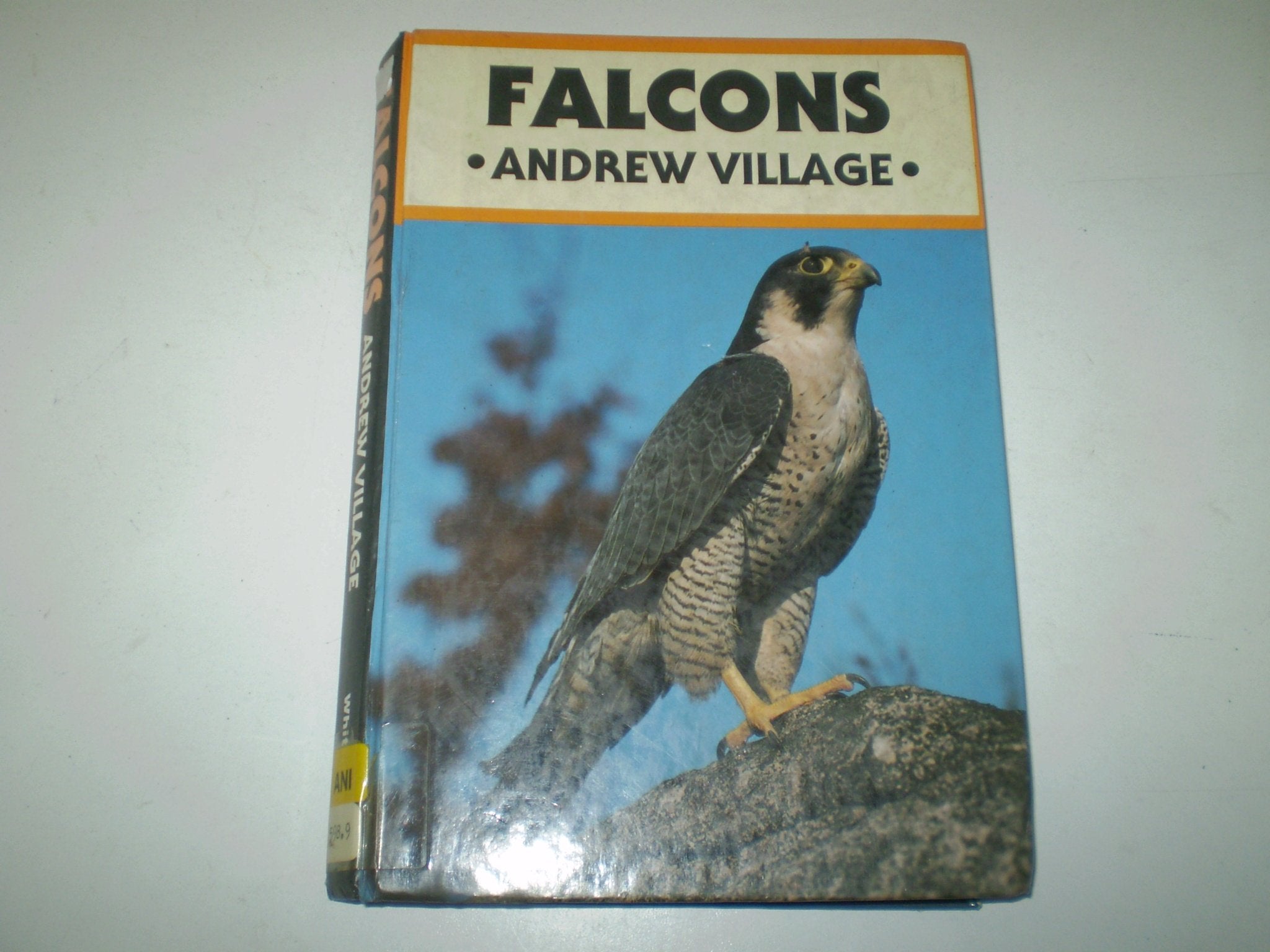 Falcons,Used