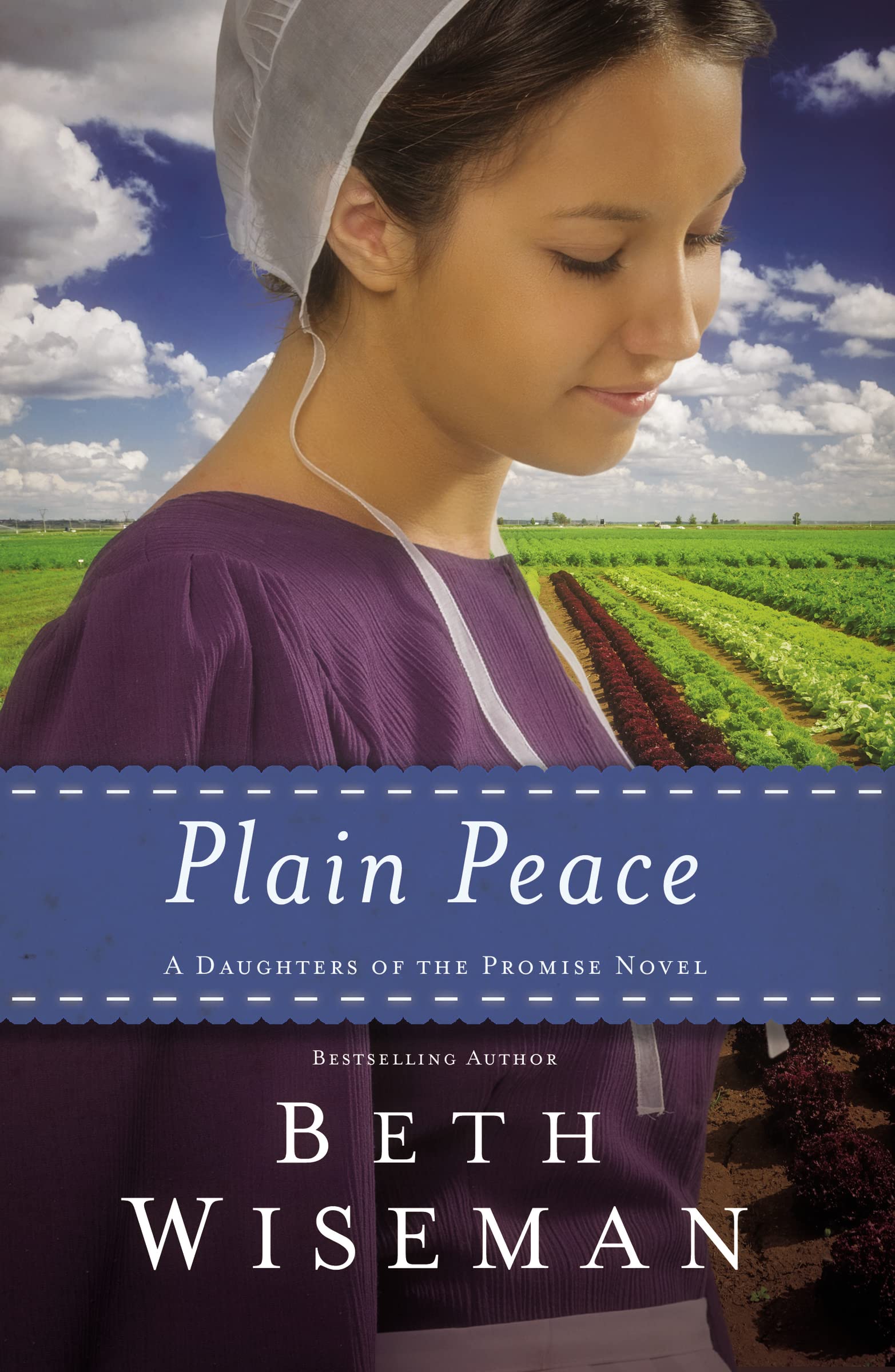 Plain Peace (A Daughters of the Promise Novel),Used