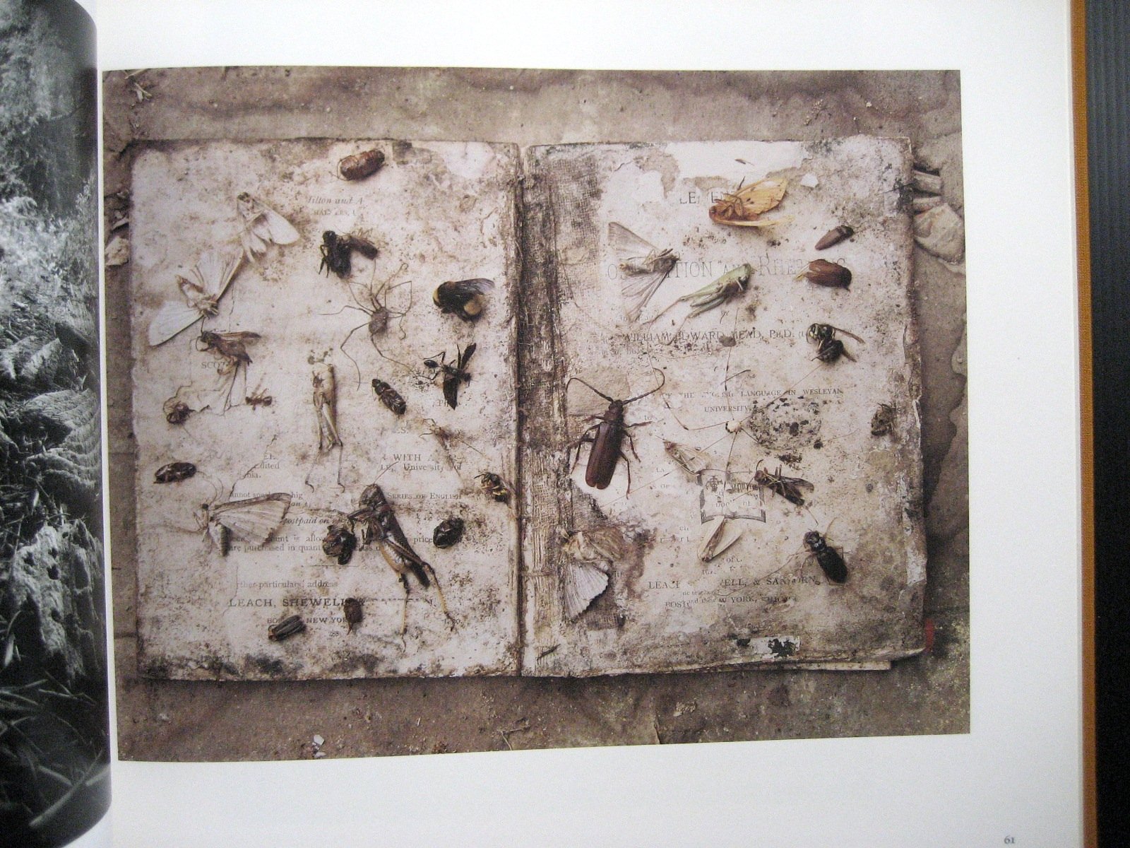 Emmet Gowin Photographs,New