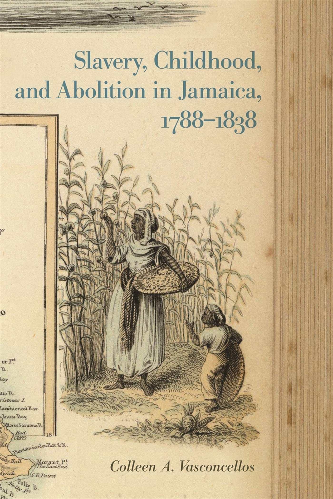 Slavery, Childhood, And Abolition In Jamaica, 17881838 (Early American Places Ser.),Used