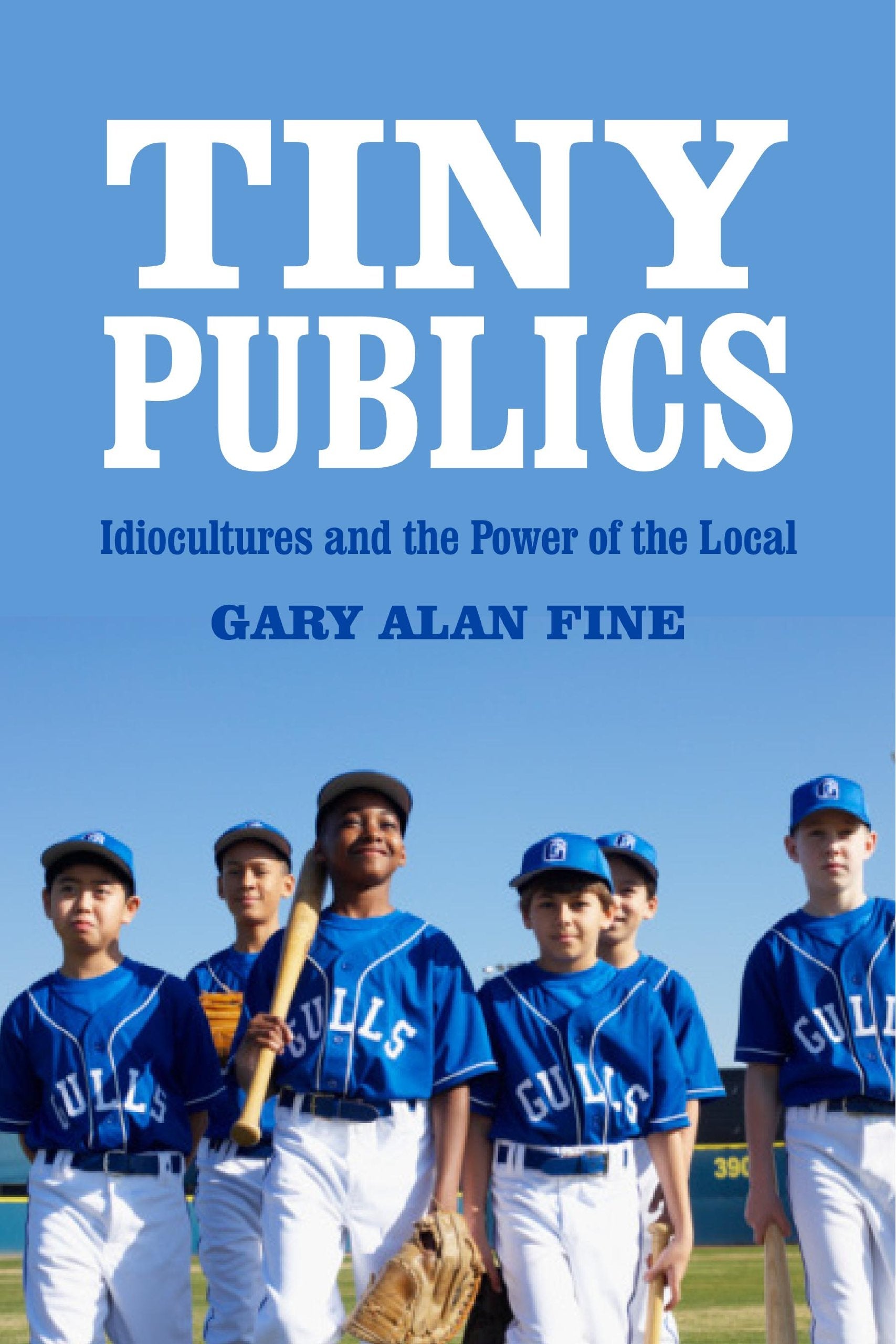 Tiny Publics: A Theory of Group Action and Culture (The Russell Sage Foundation Series on Trust),Used
