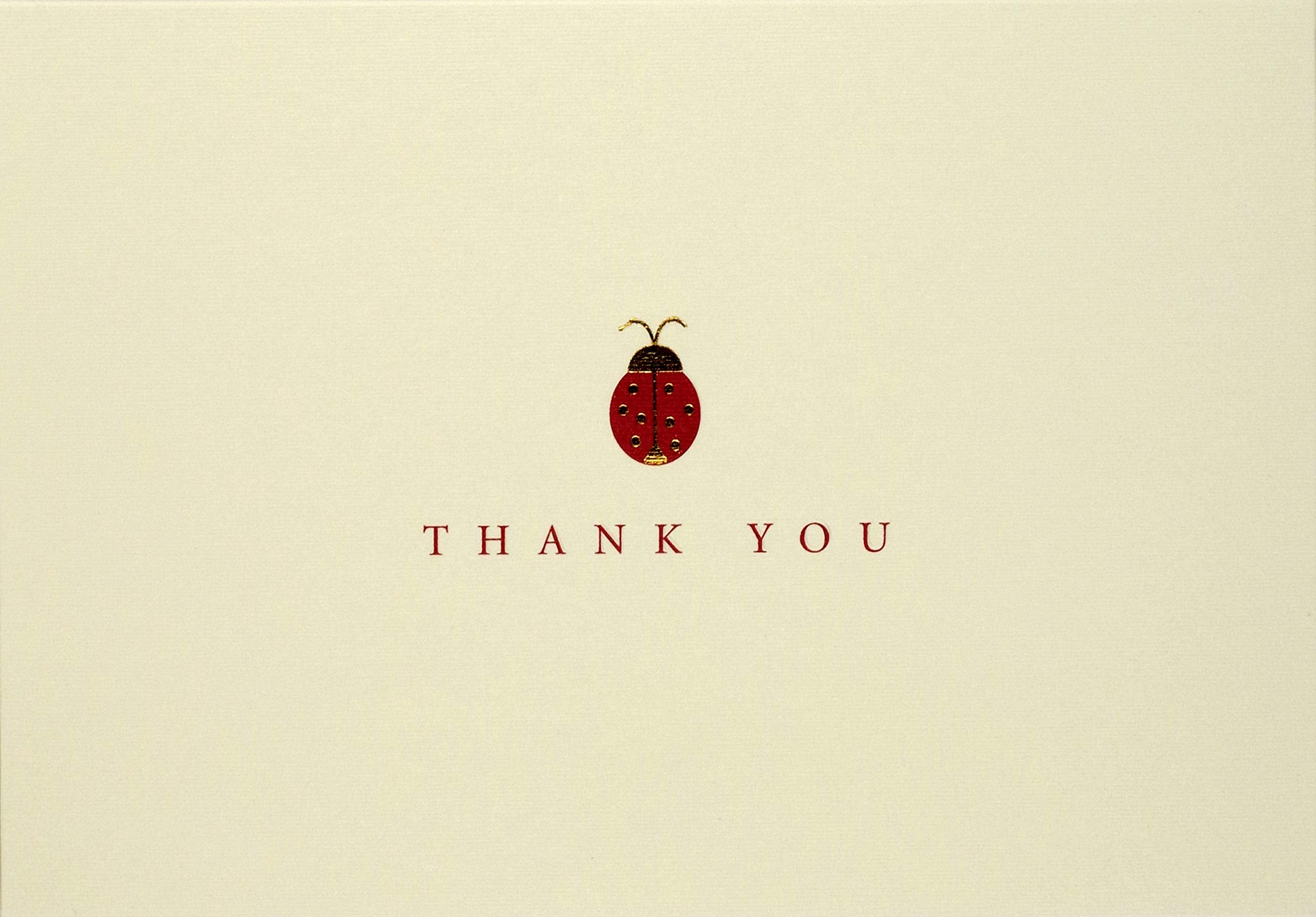 Ladybug Thank You Notes (Note Card Series),New