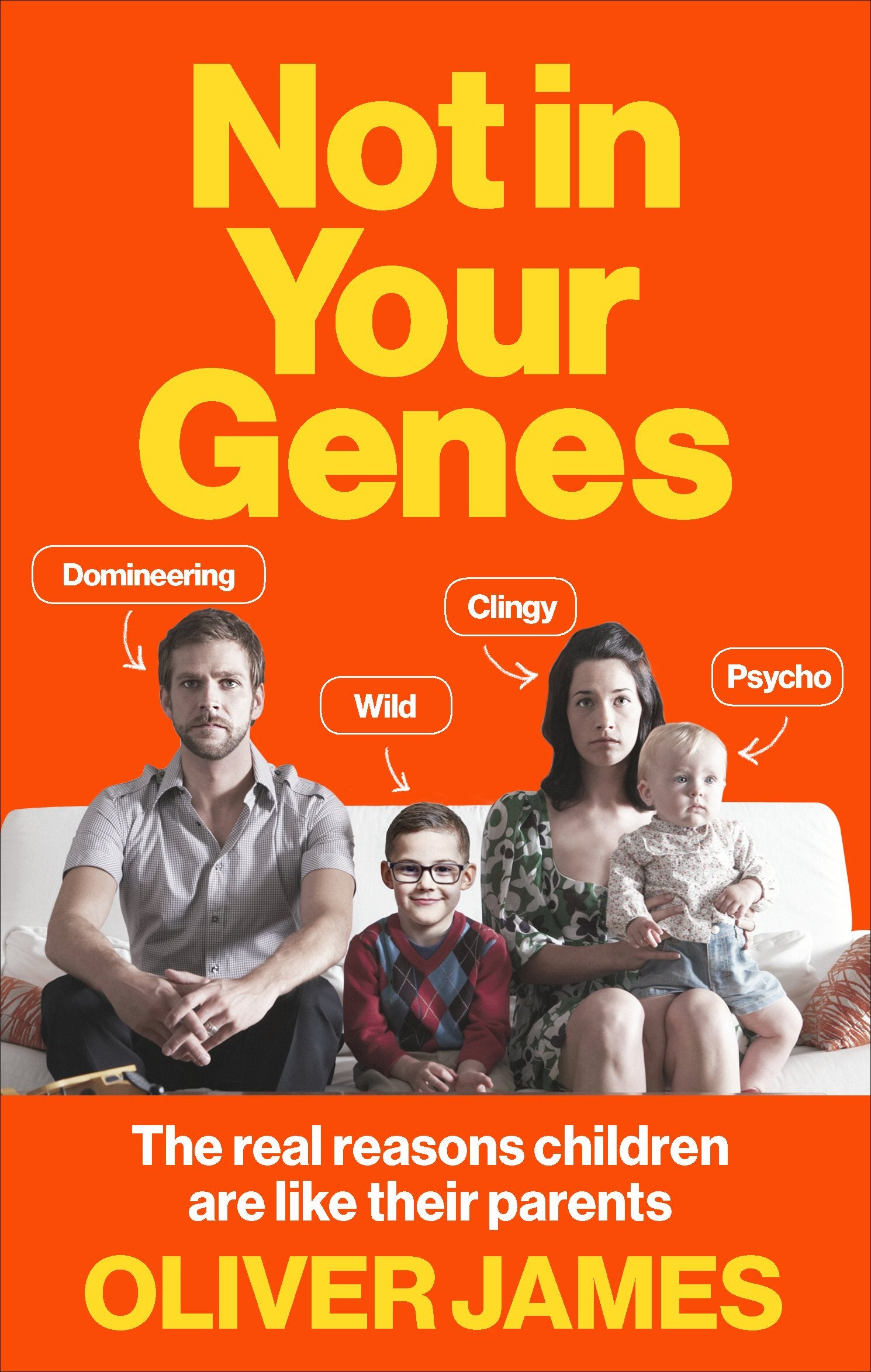 Not in Your Genes: The Real Reasons Children Are Like Their Parents,Used