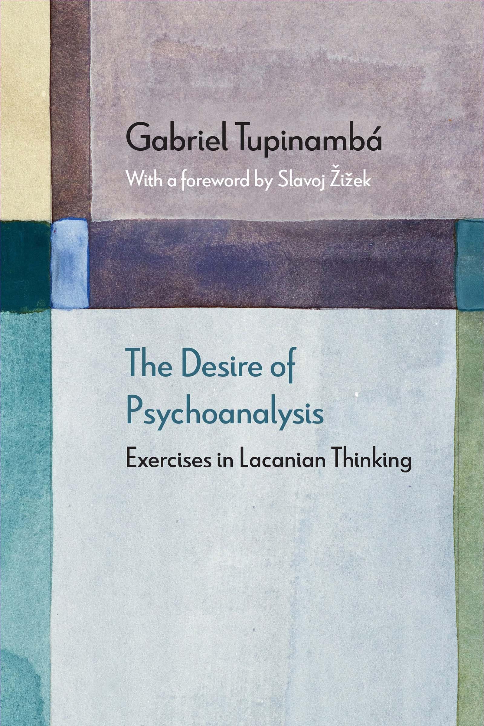 The Desire Of Psychoanalysis: Exercises In Lacanian Thinking (Diaeresis),Used
