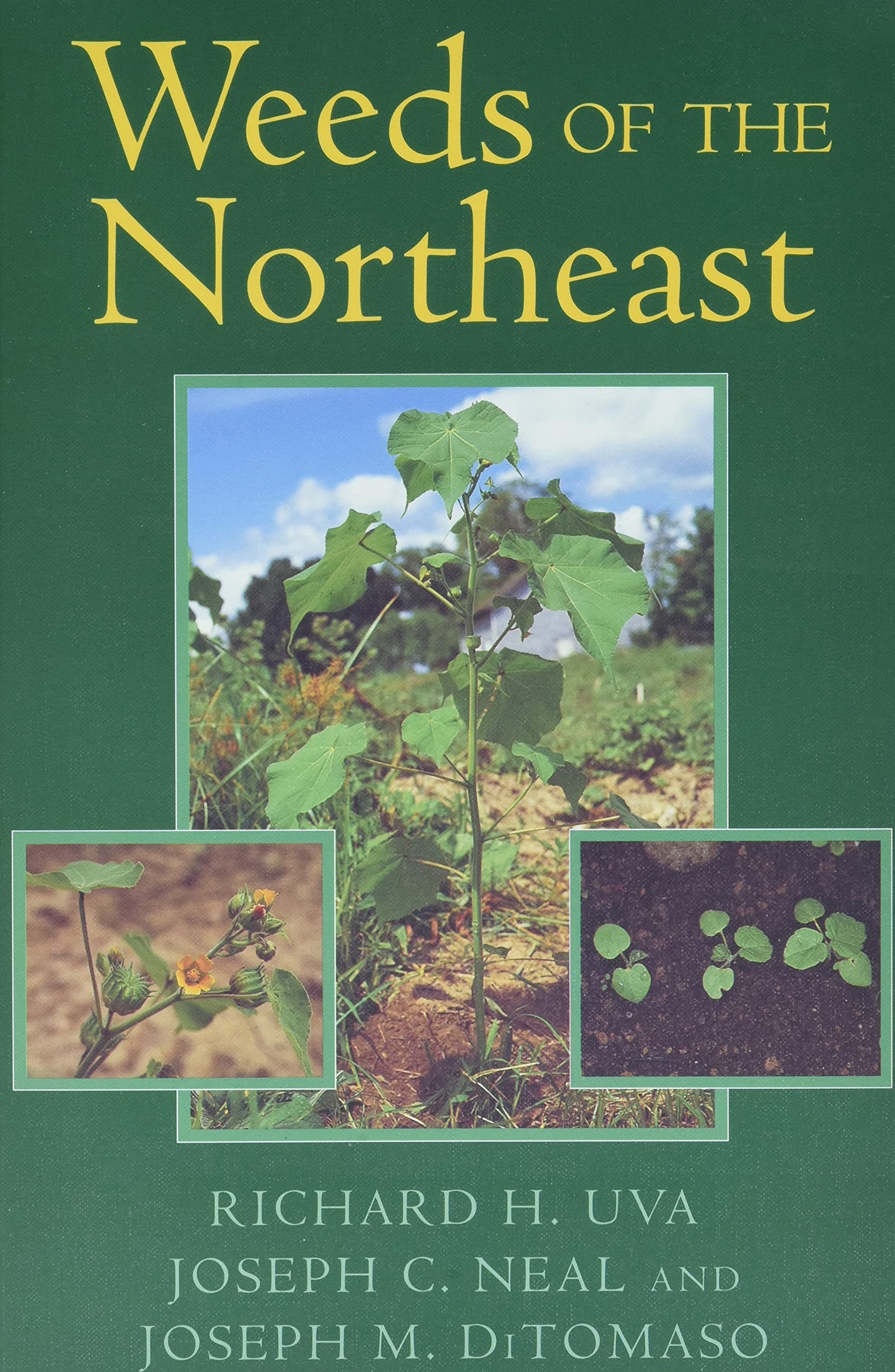 Weeds Of The Northeast,Used
