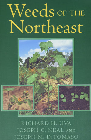 Weeds Of The Northeast,Used