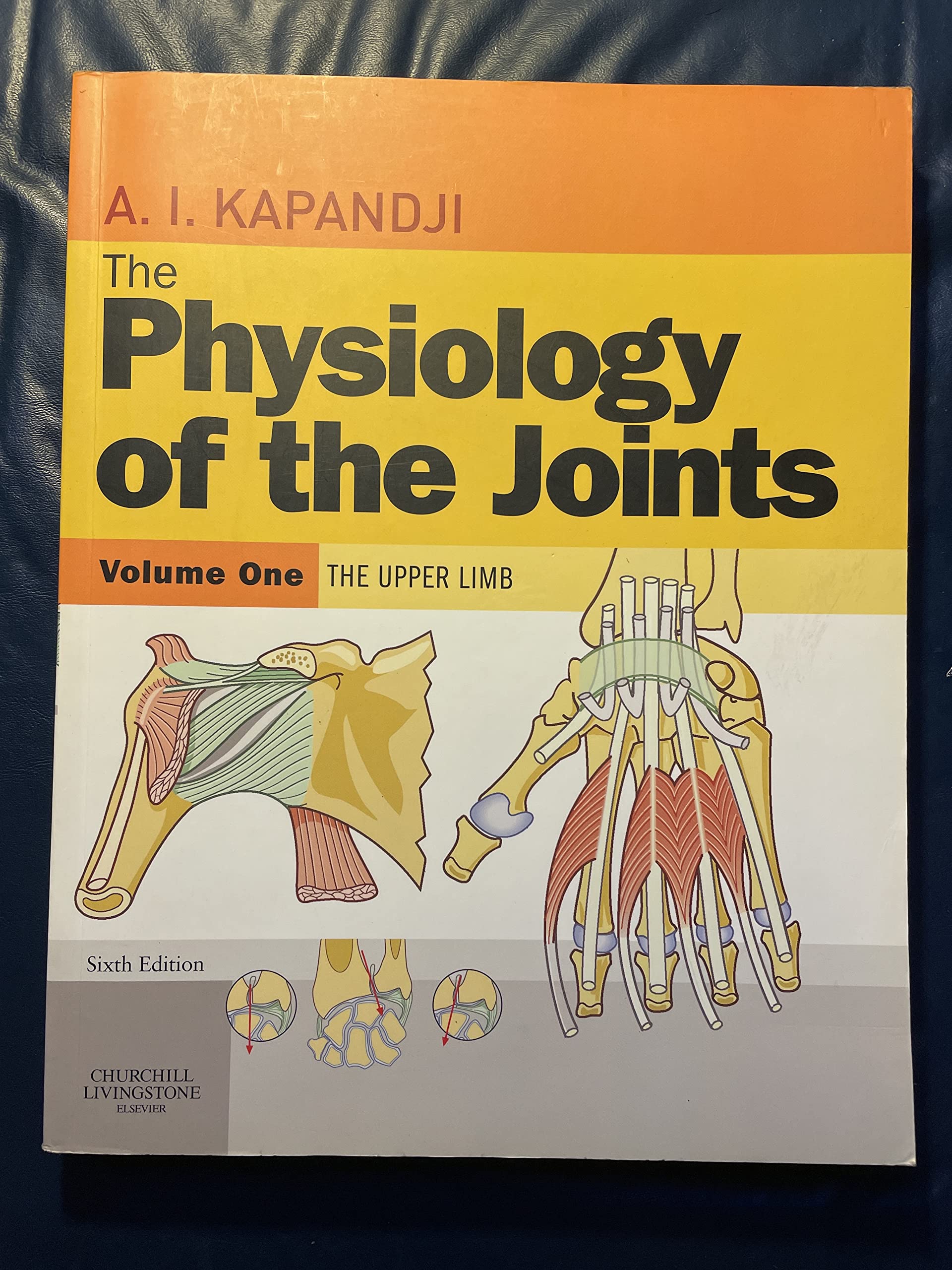 The Physiology of the Joints, Volume 1: Upper Limb,Used